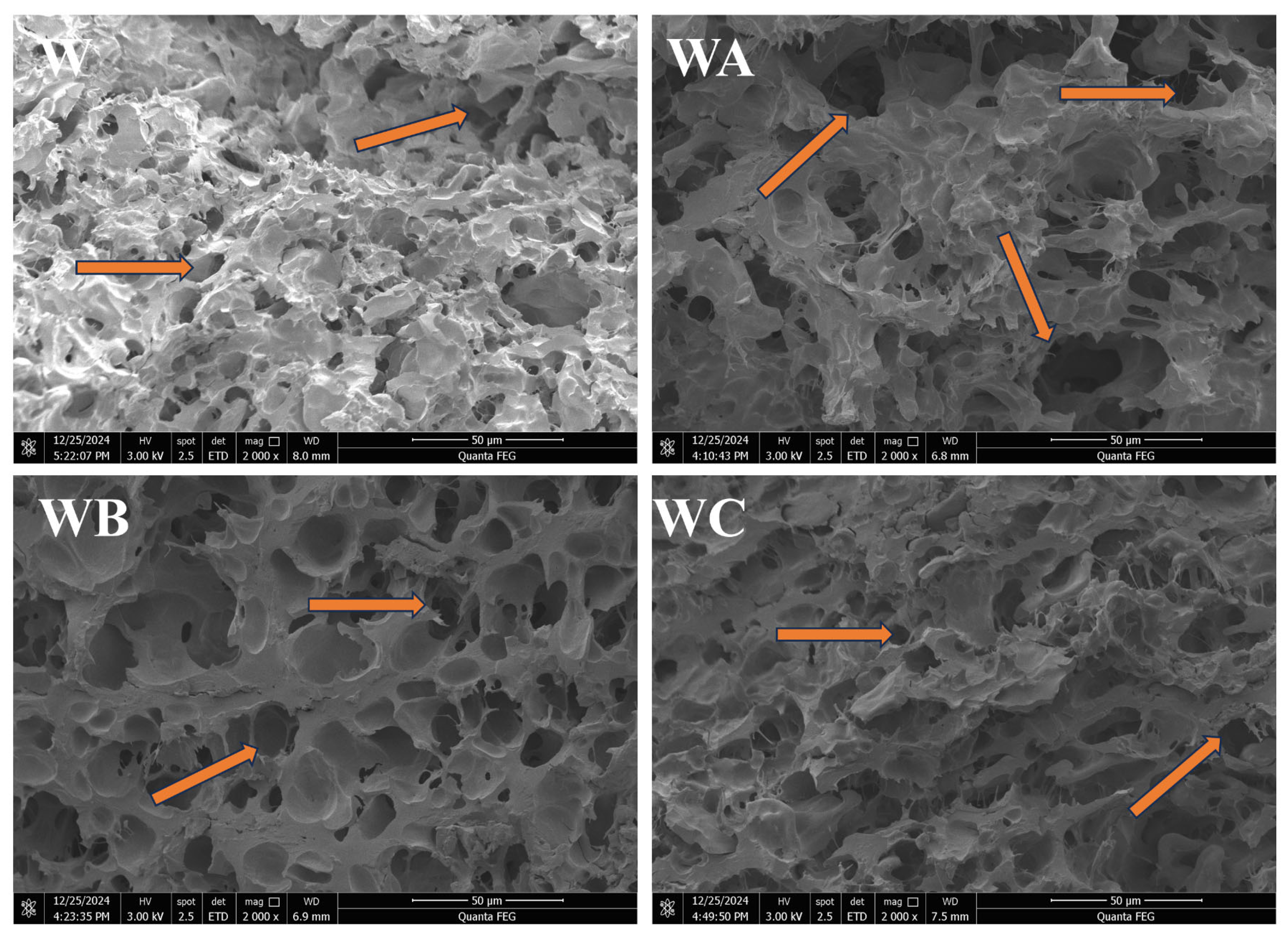 Processes 13 03840 g005