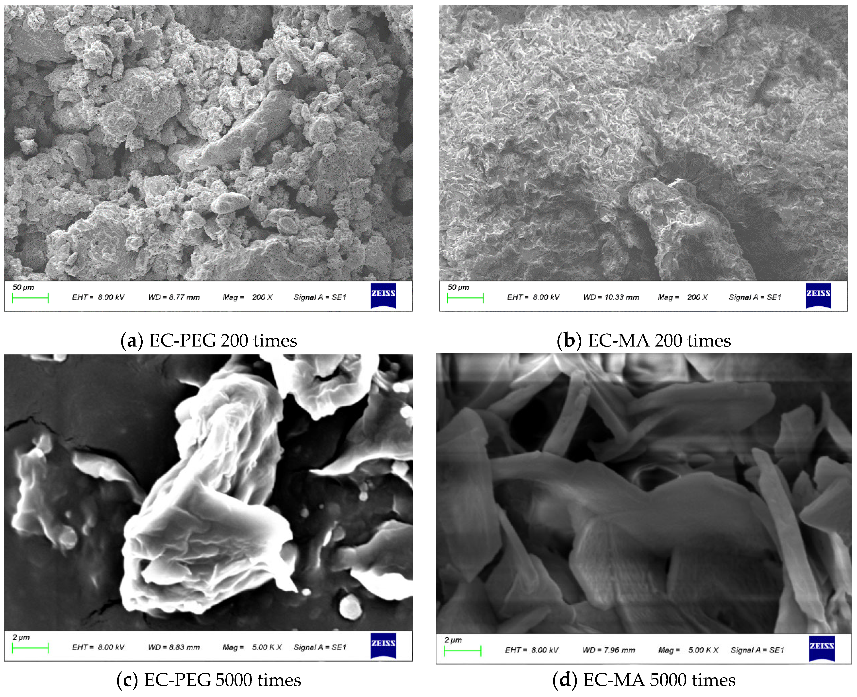 Processes 13 03916 g003