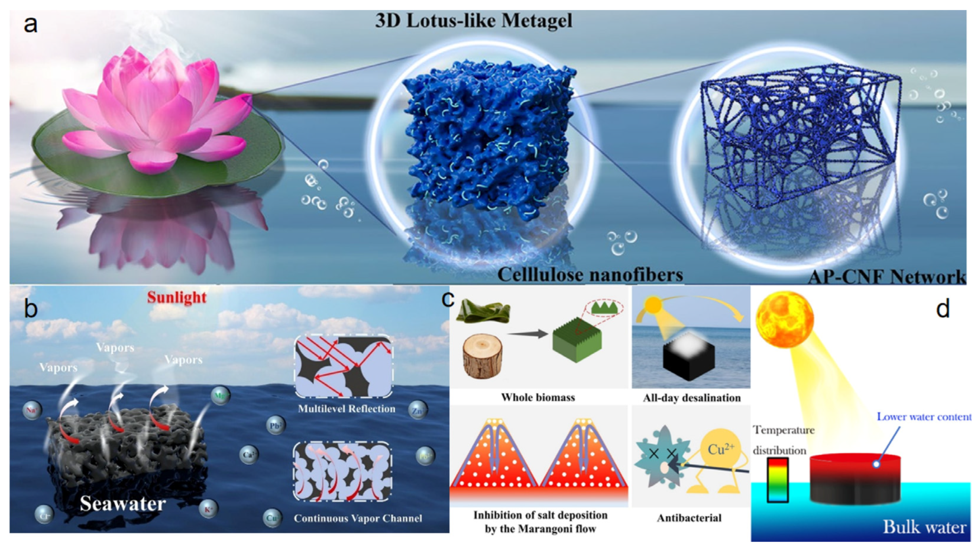 Processes 13 03921 g002