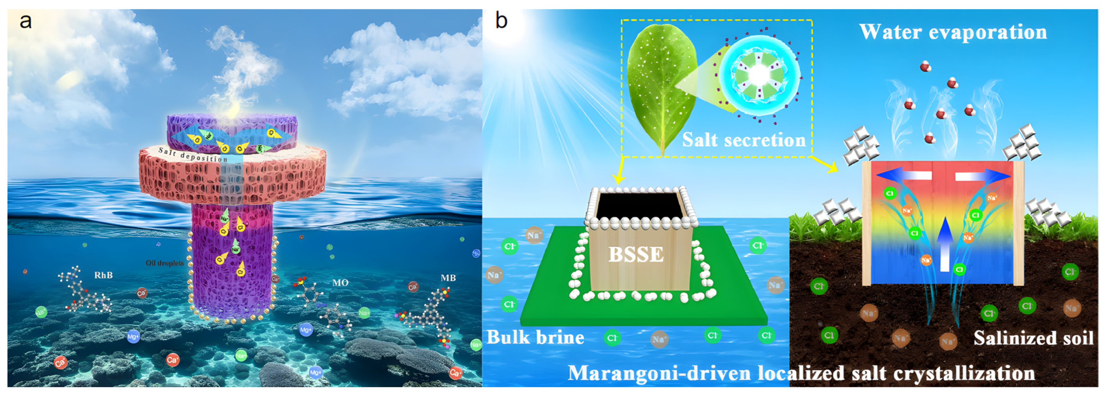 Processes 13 03921 g007