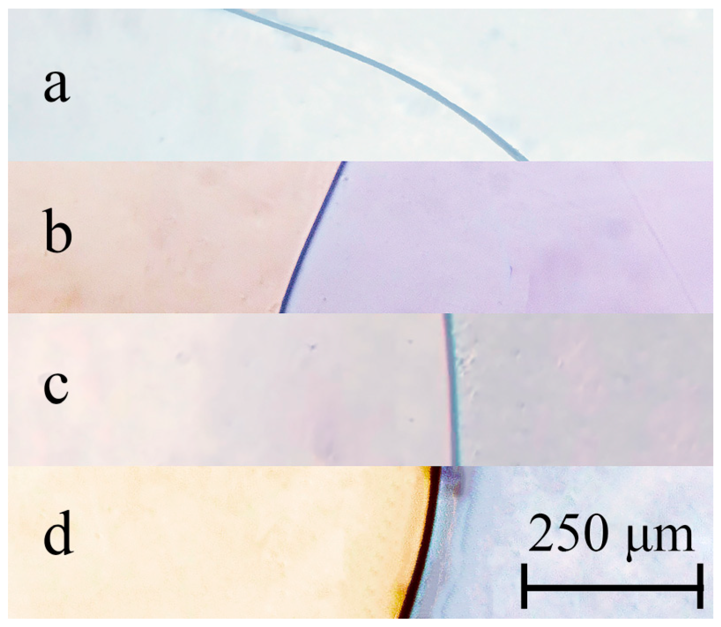 Processes 13 03923 g002