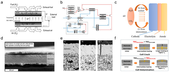 Processes 13 03931 g001