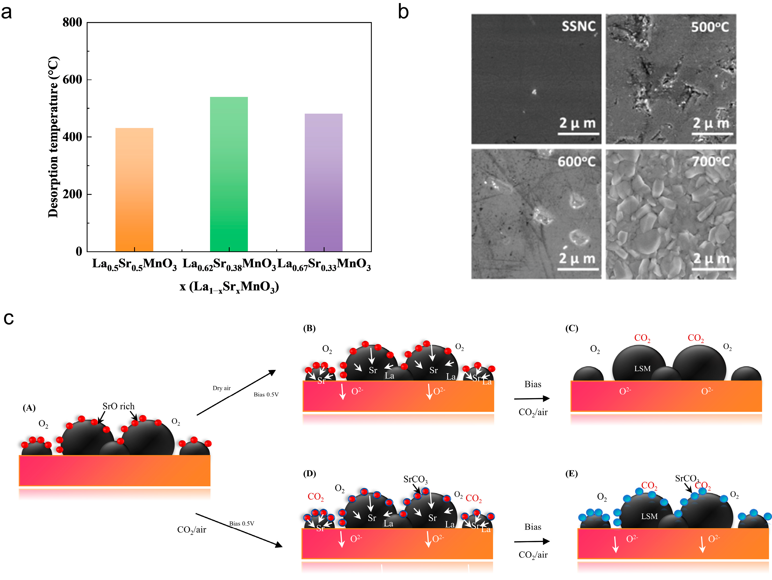 Processes 13 03931 g003 Processes 13 03931 g003