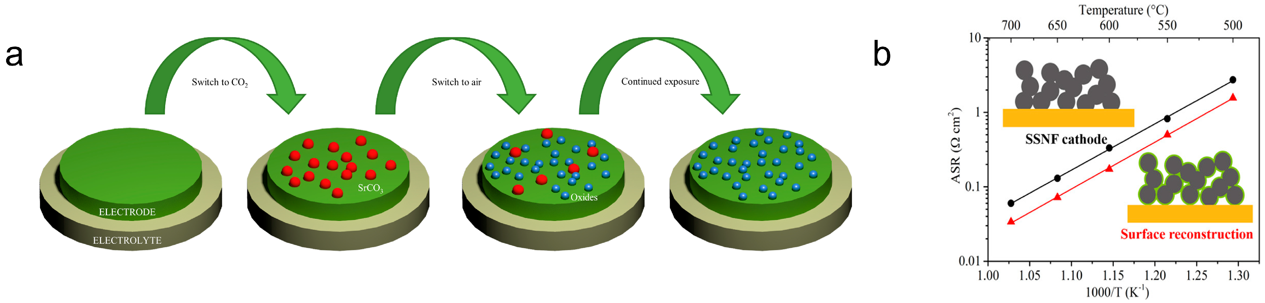 Processes 13 03931 g007 Processes 13 03931 g007