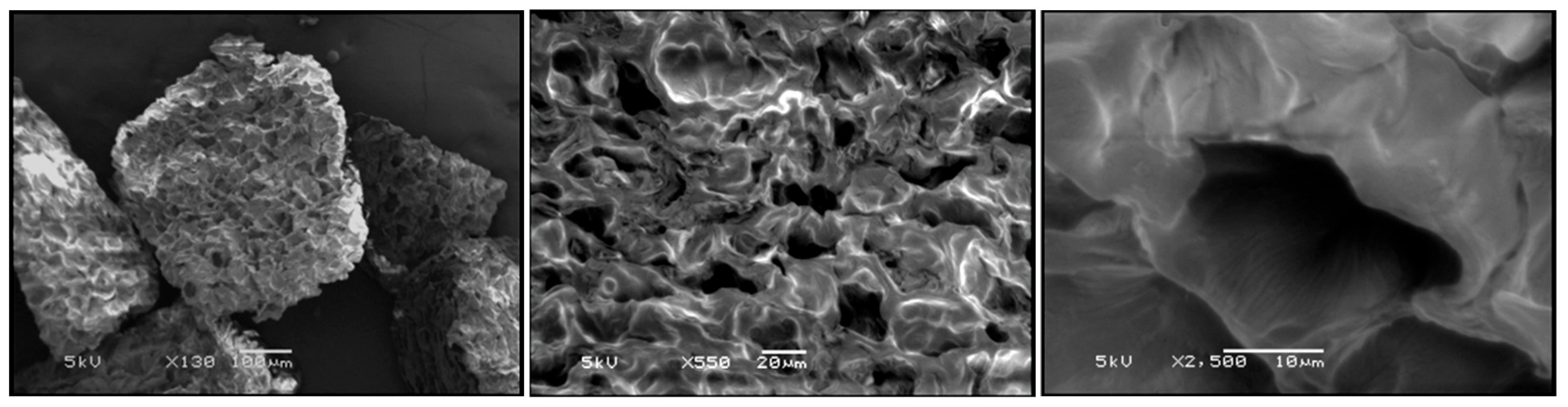 Processes 13 03932 g006 Processes 13 03932 g006
