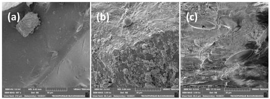 Processes 13 03943 g003