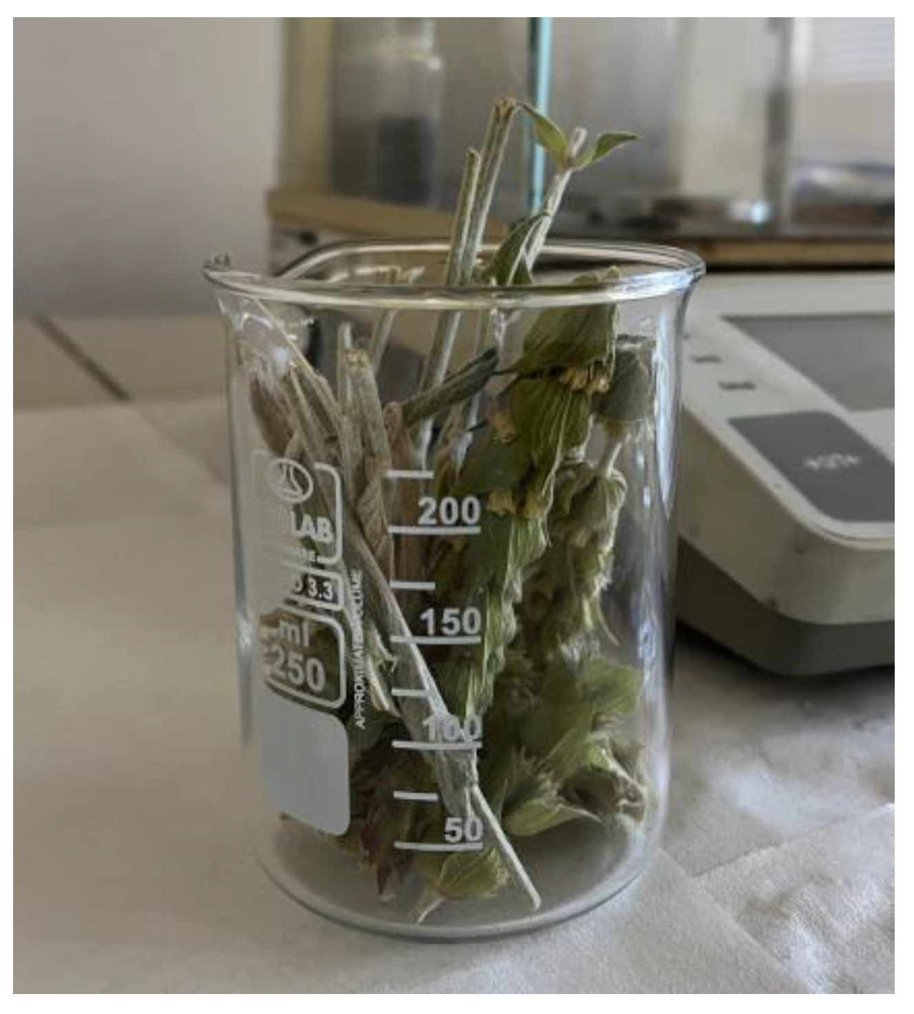 Processes 13 03945 g001