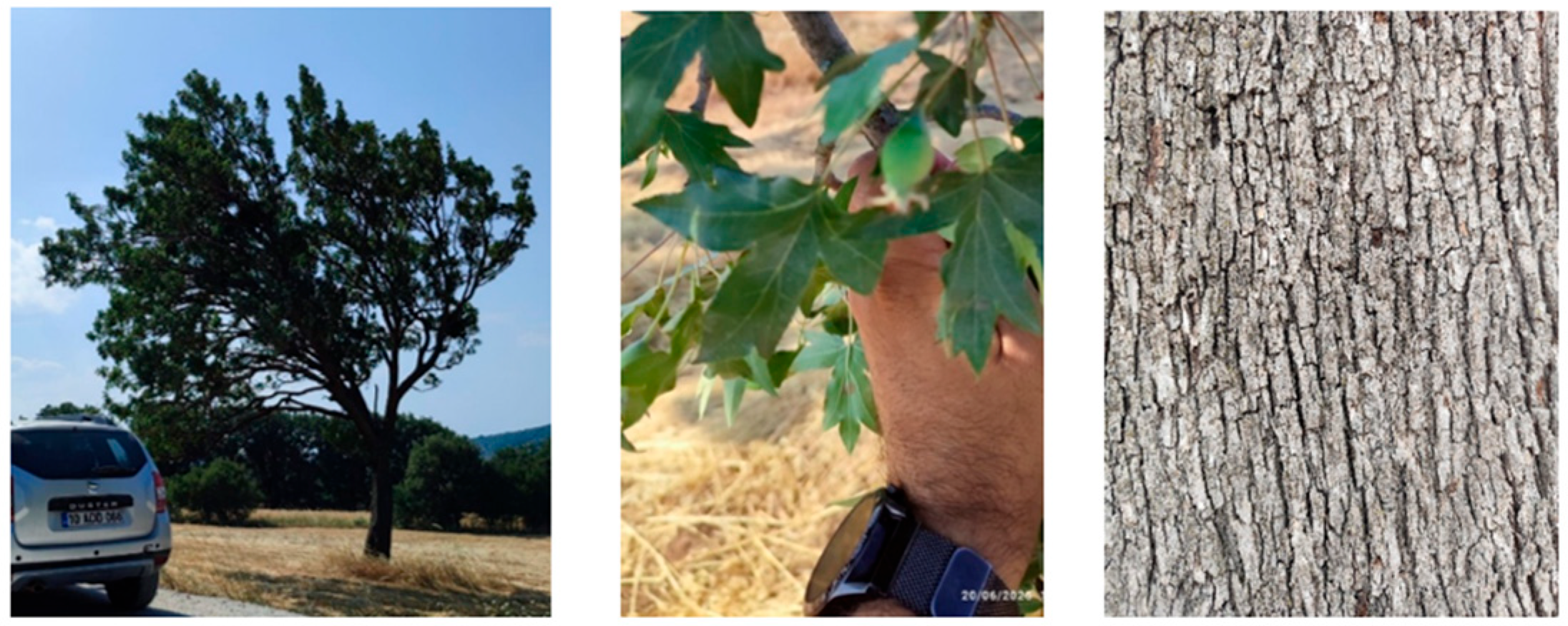 Processes 13 03946 g001