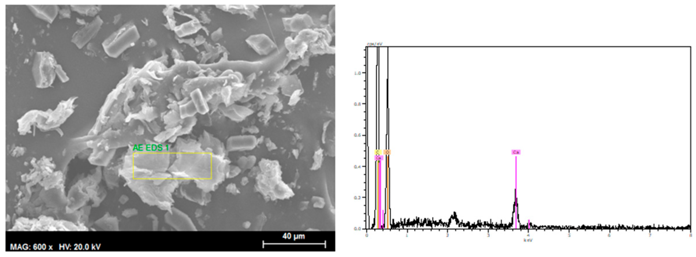 Processes 13 03946 g002