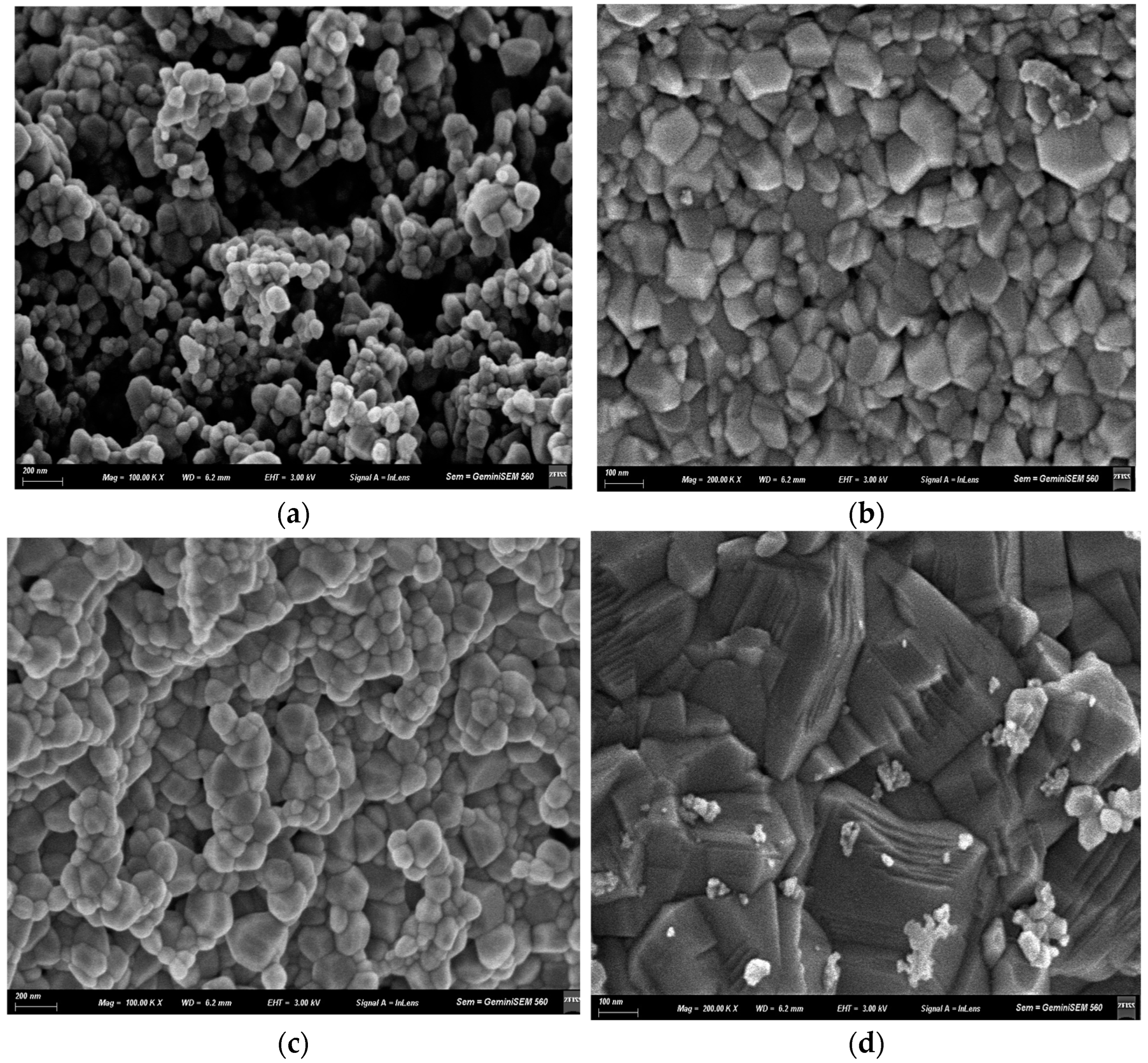 Processes 13 03954 g011