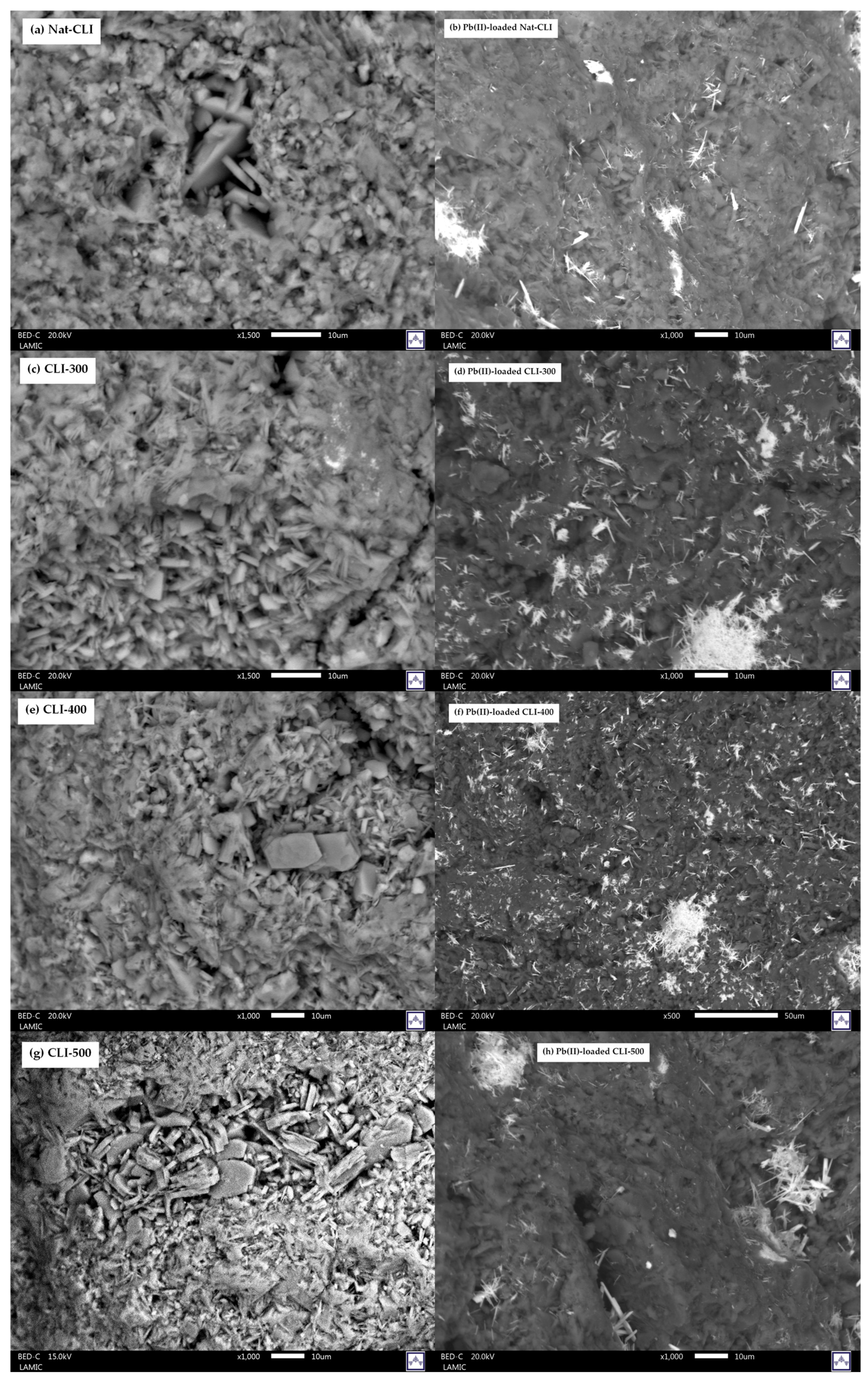 Processes 13 03955 g002