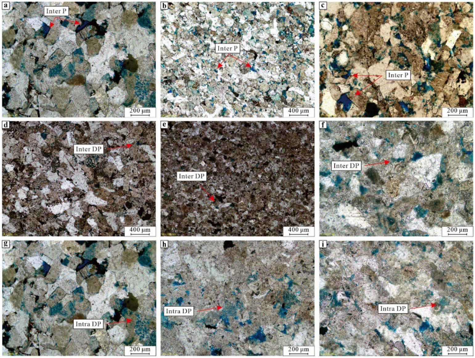 Processes 13 03965 g005 Processes 13 03965 g005