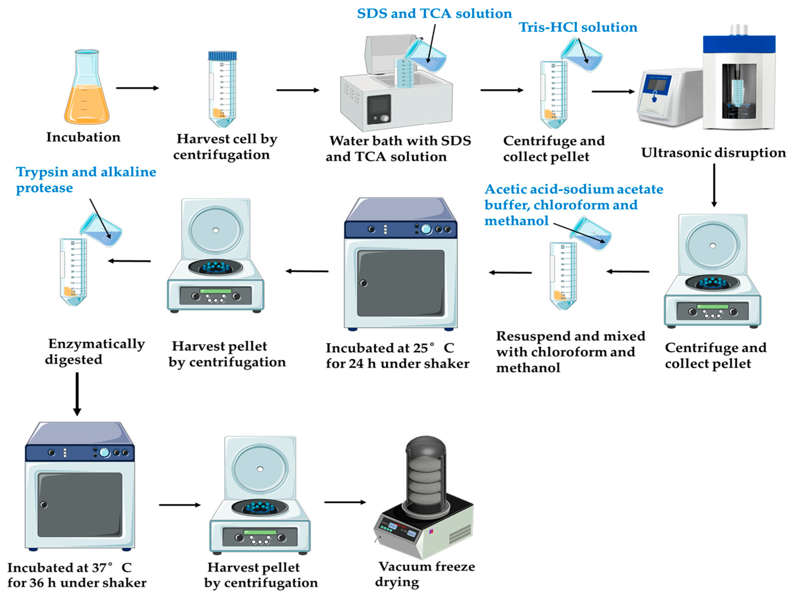 Processes 13 03978 g001