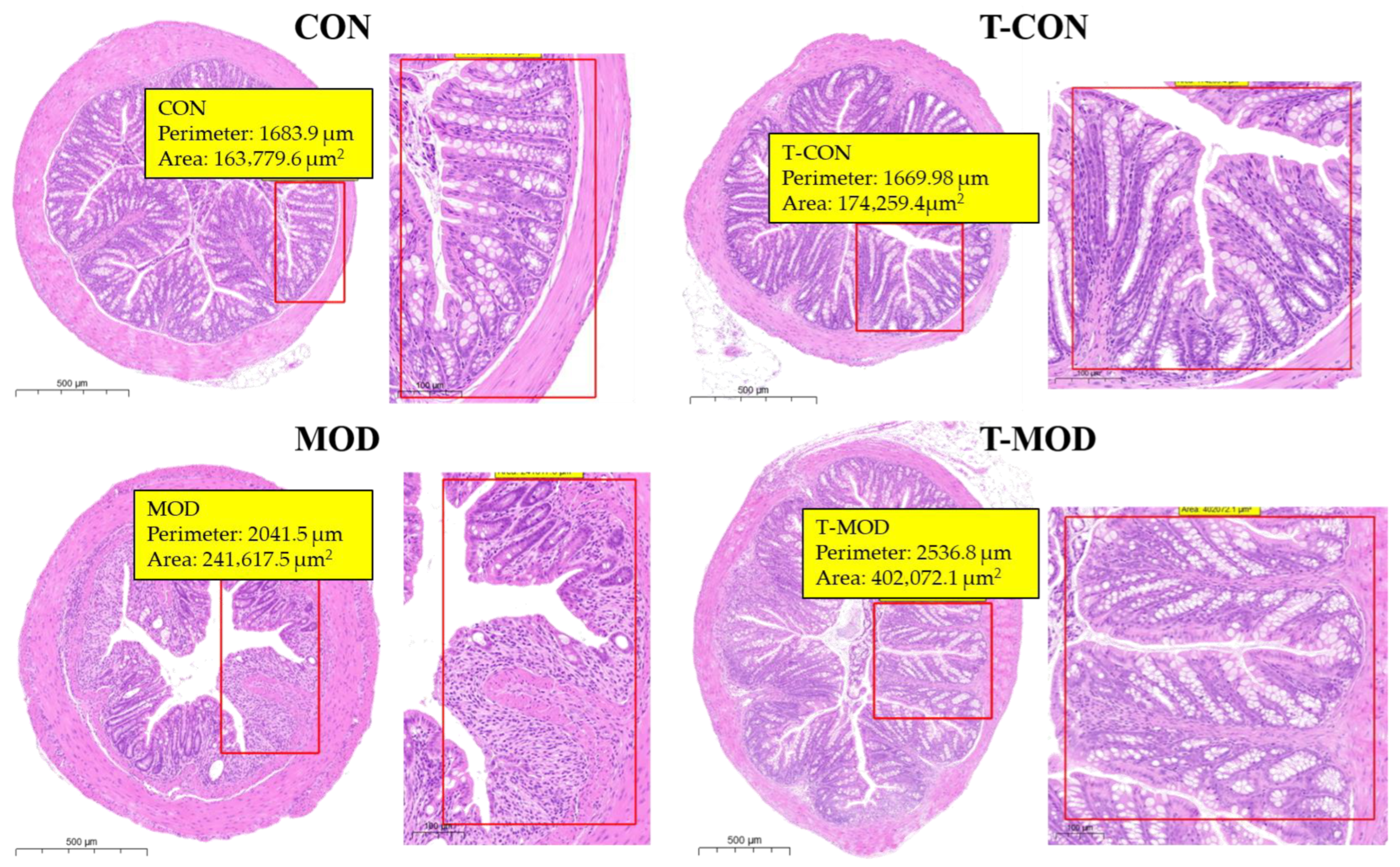 Processes 13 03978 g005