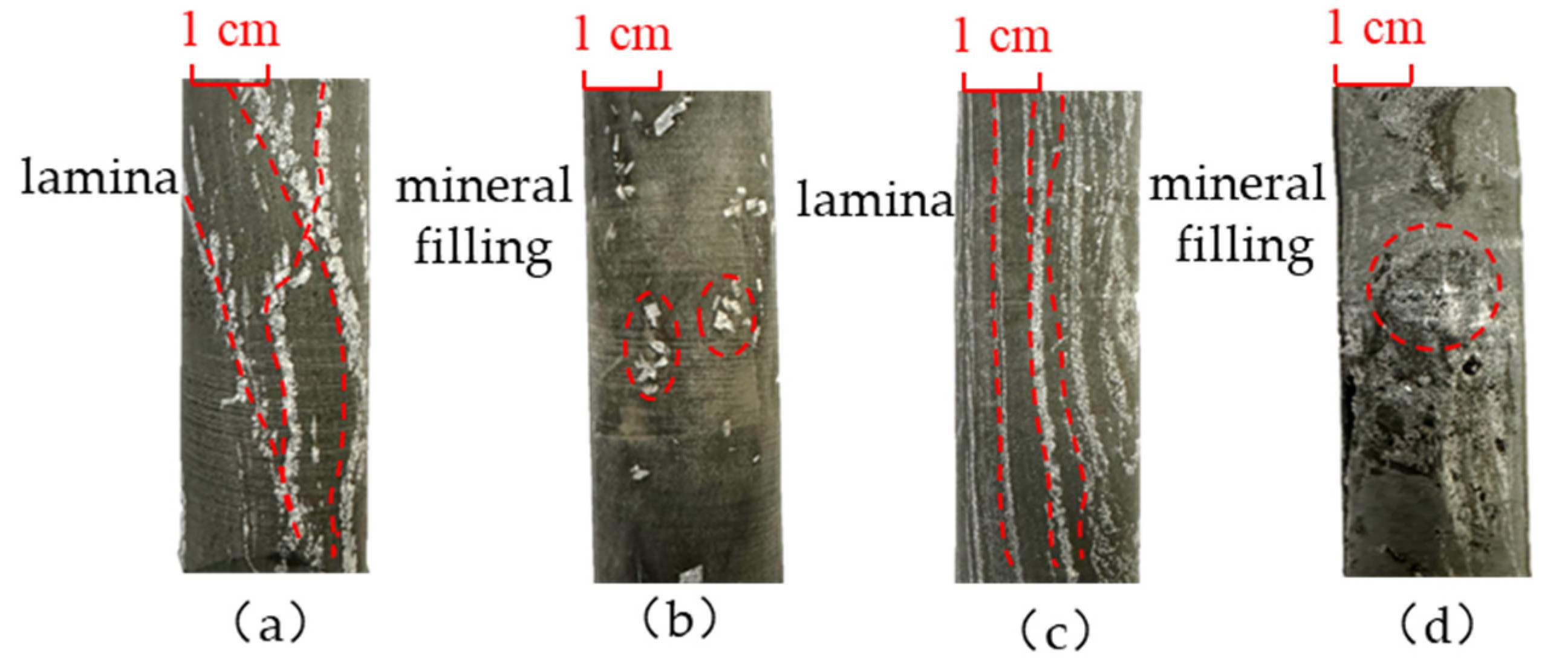 Processes 13 03985 g001 Processes 13 03985 g001