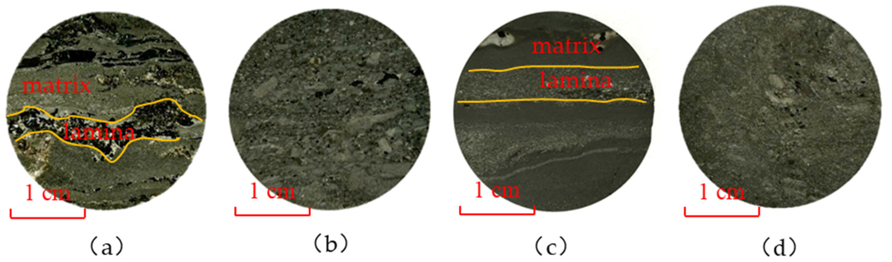Processes 13 03985 g002 Processes 13 03985 g002