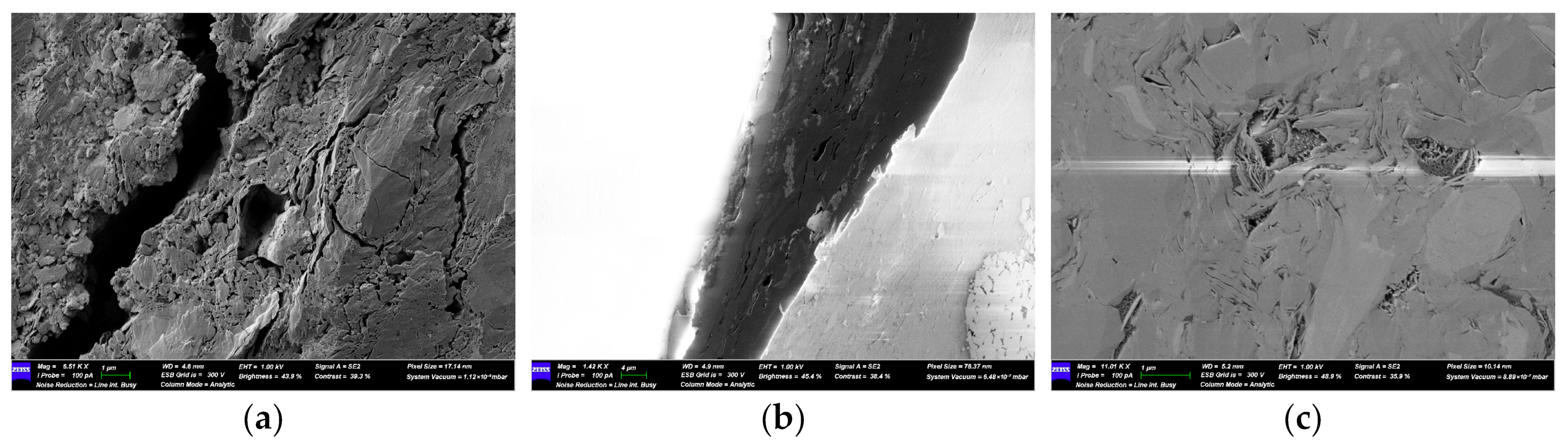 Processes 13 04004 g002