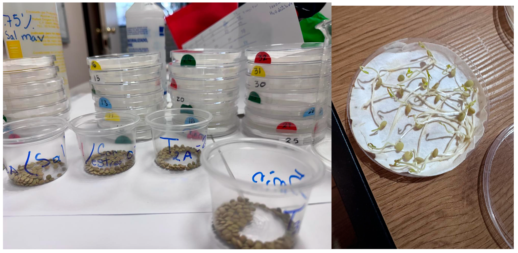 Processes 13 04030 g015 Processes 13 04030 g015