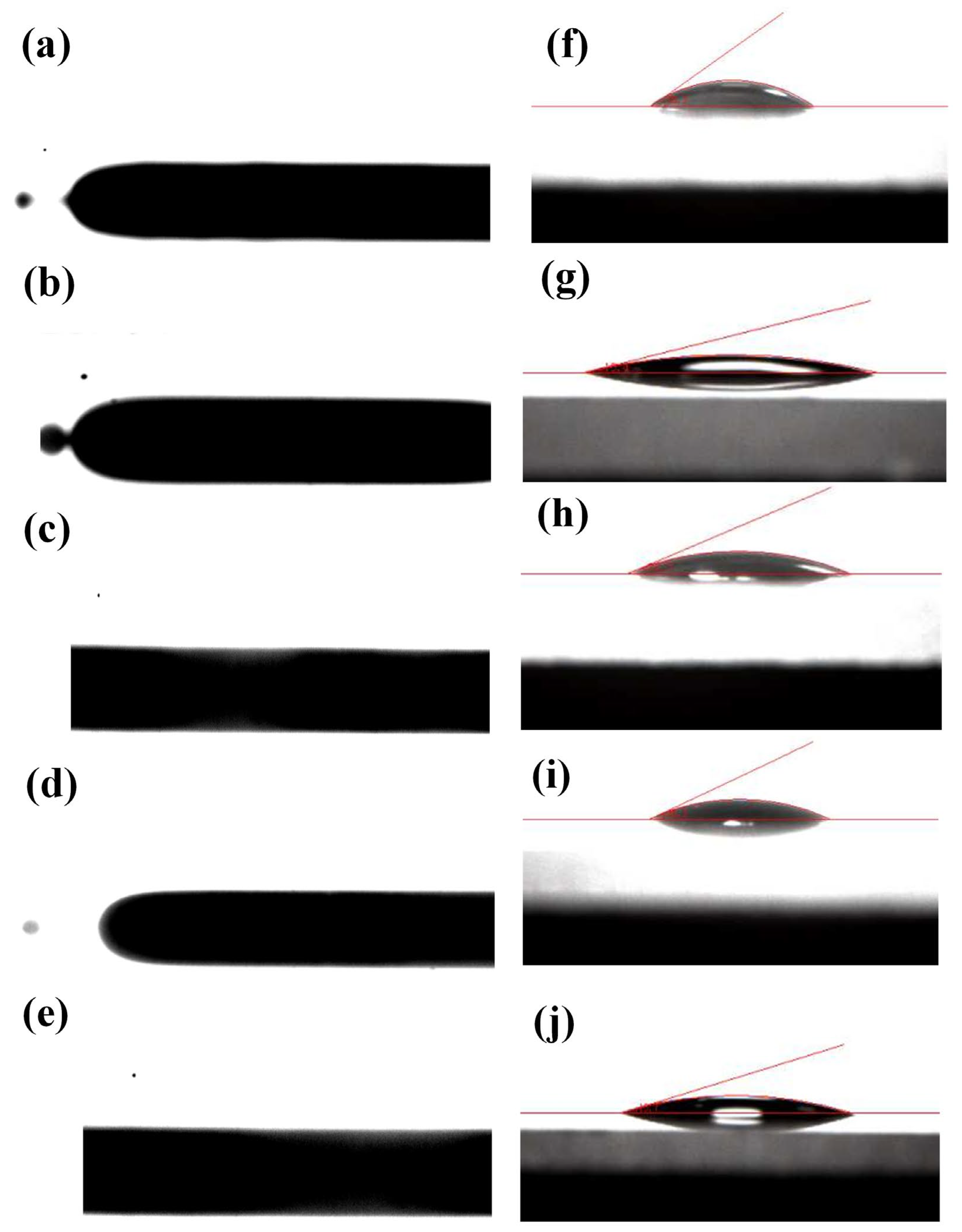 Processes 13 04031 g007