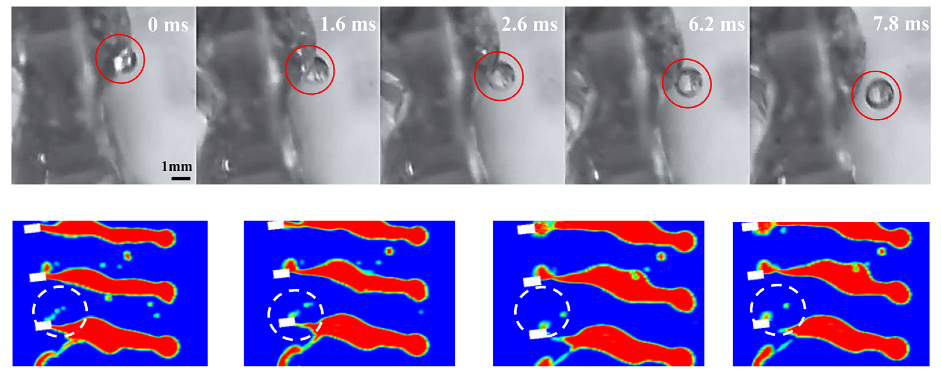 Processes 13 04050 g010