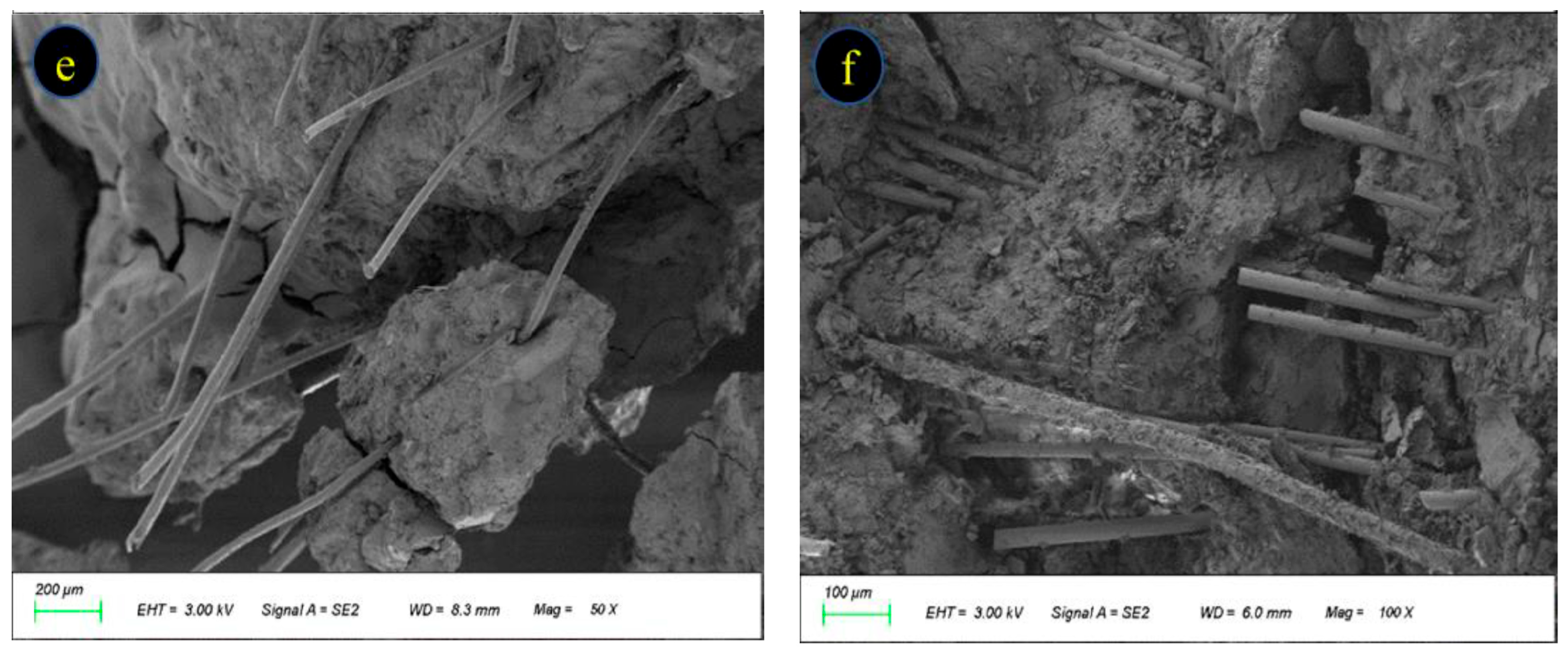 Processes 13 04064 g023b Processes 13 04064 g023b