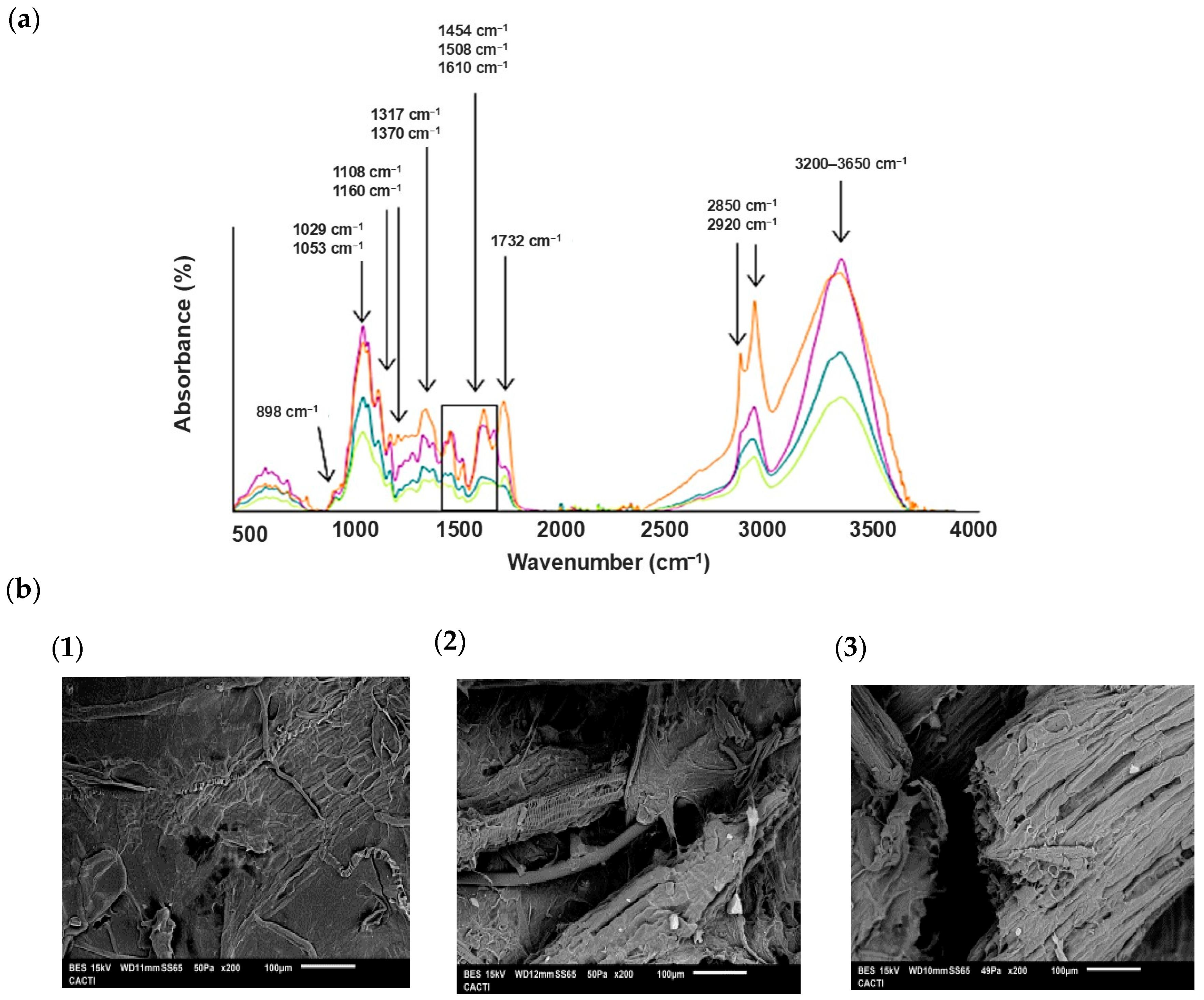 Processes 13 04090 g001