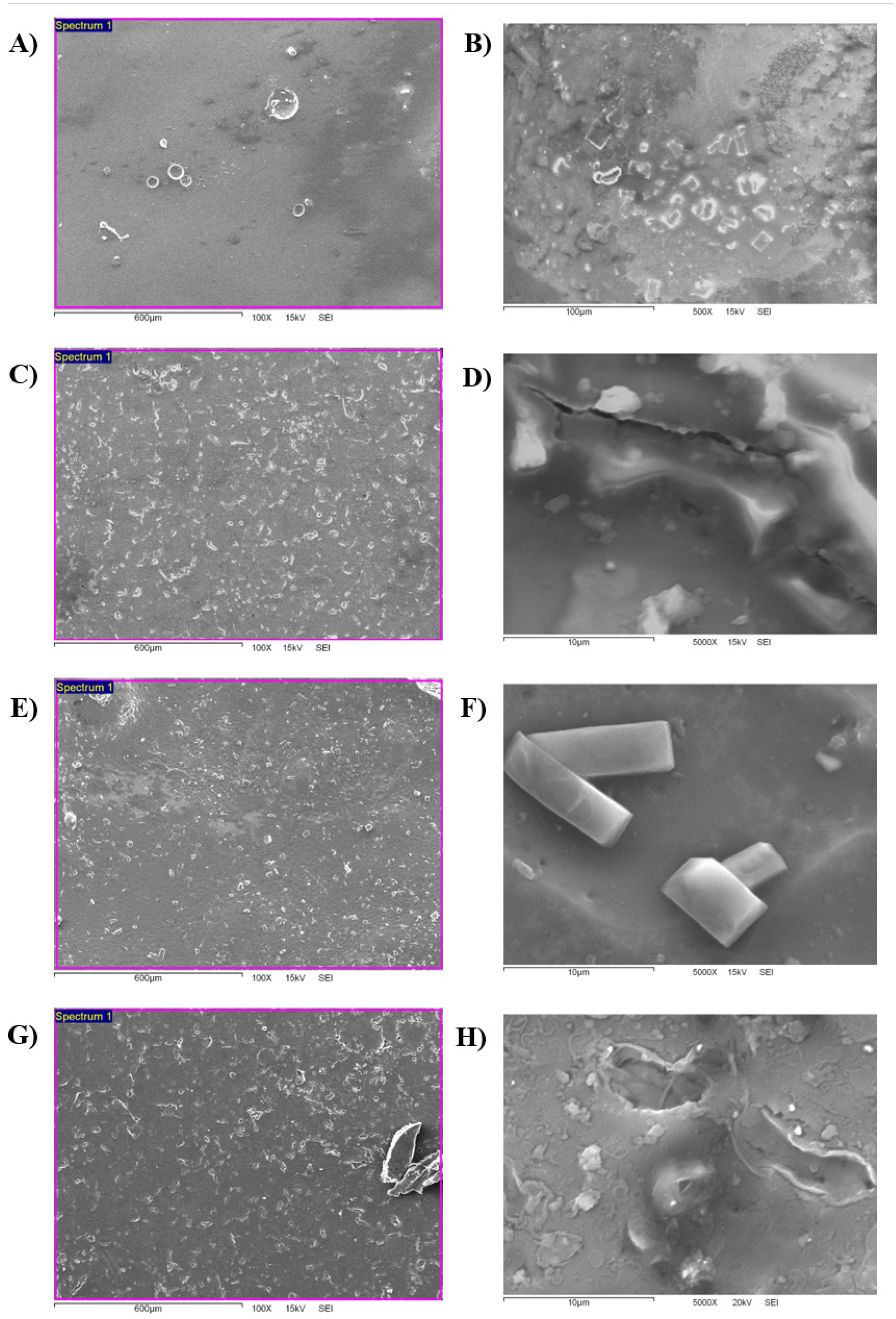 Processes 14 00004 g007