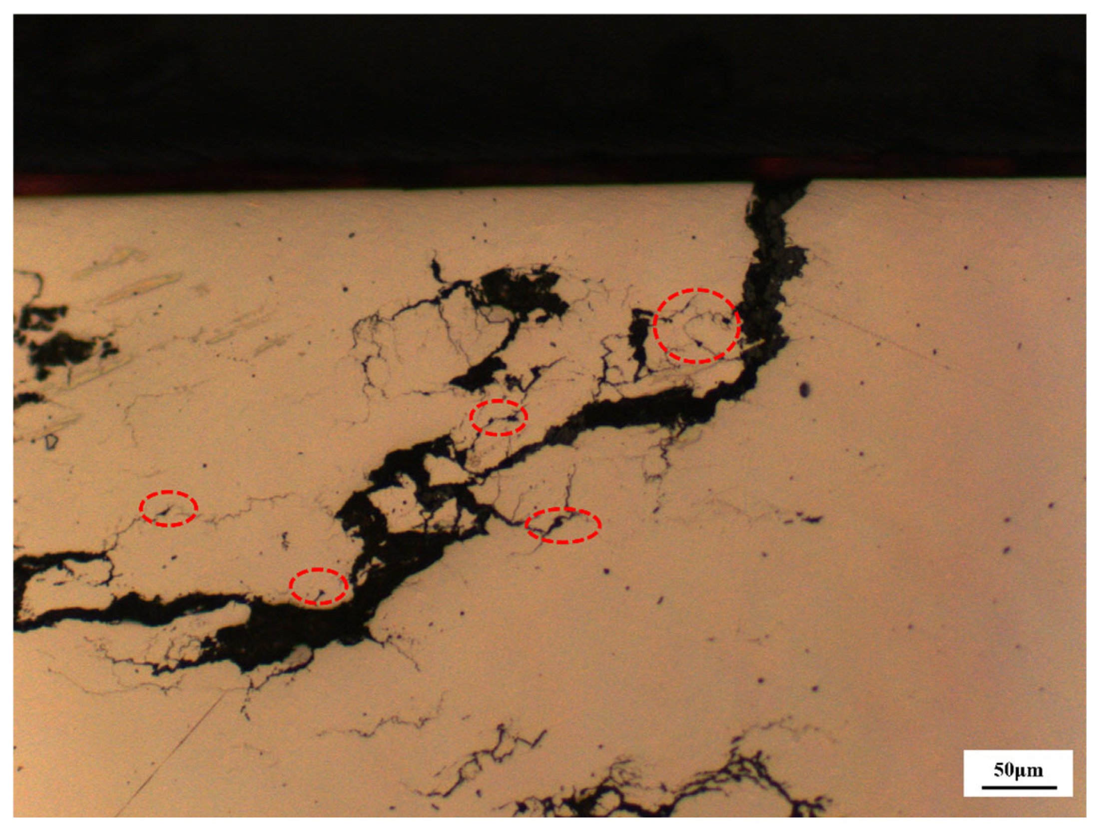 Processes 14 00045 g016