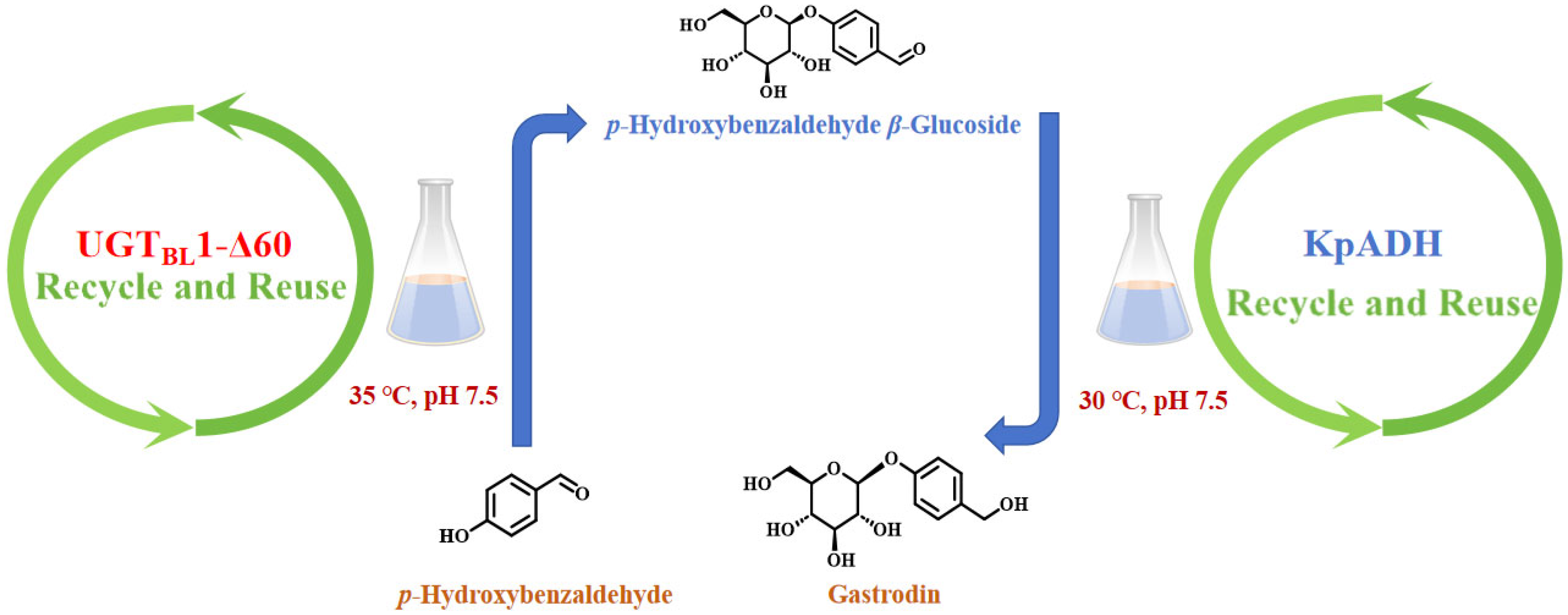 Processes 14 00055 g007
