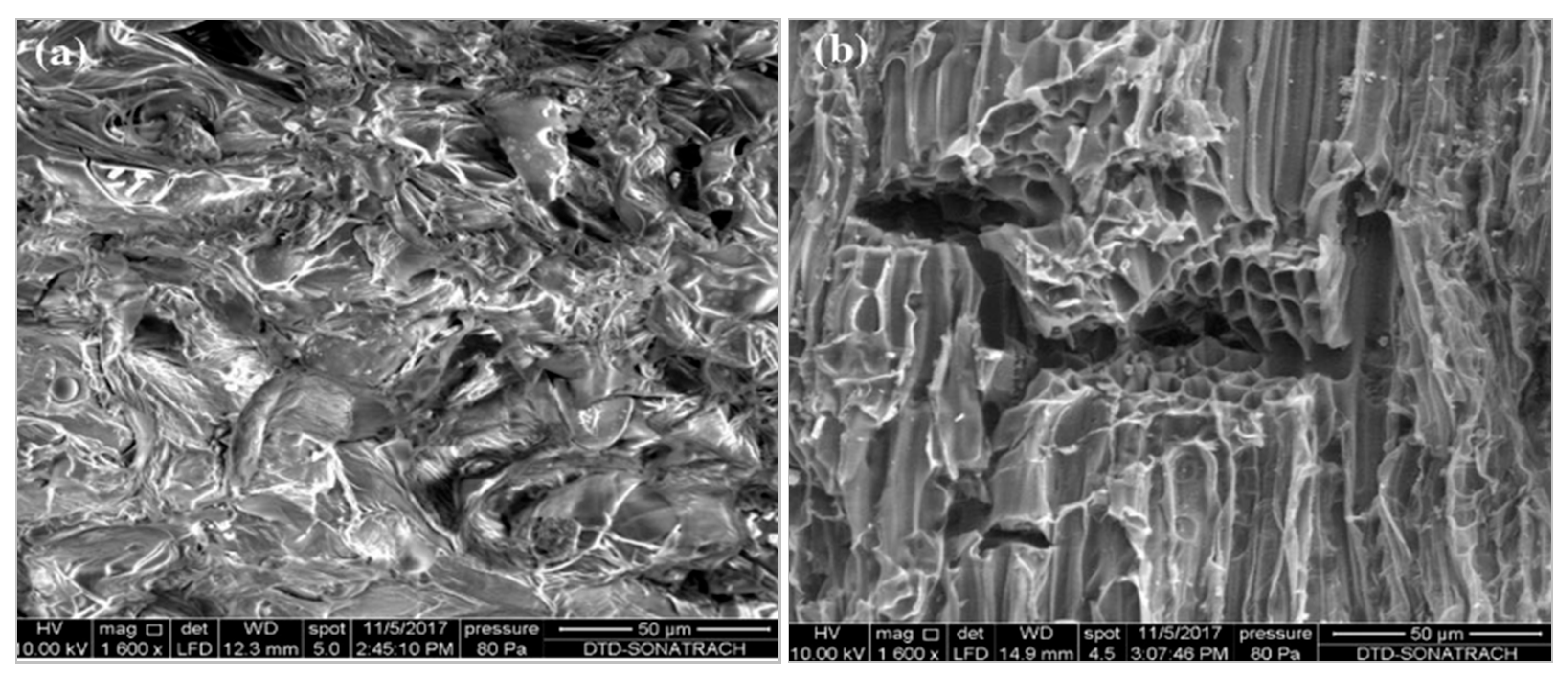 Processes 14 00063 g002