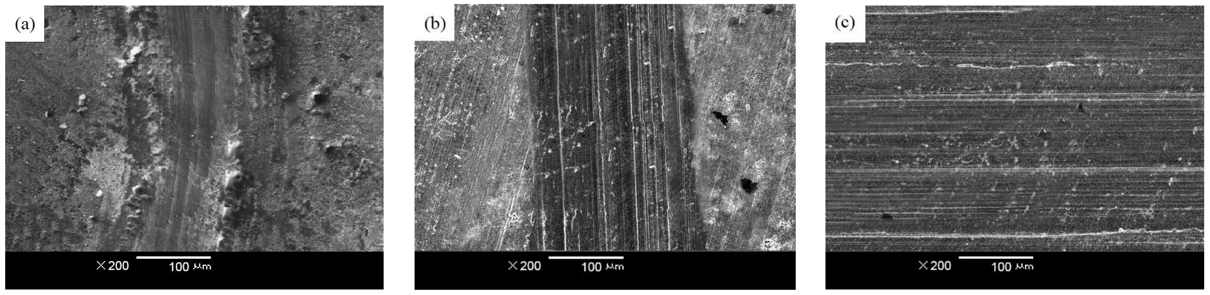 Processes 14 00139 g012 Processes 14 00139 g012