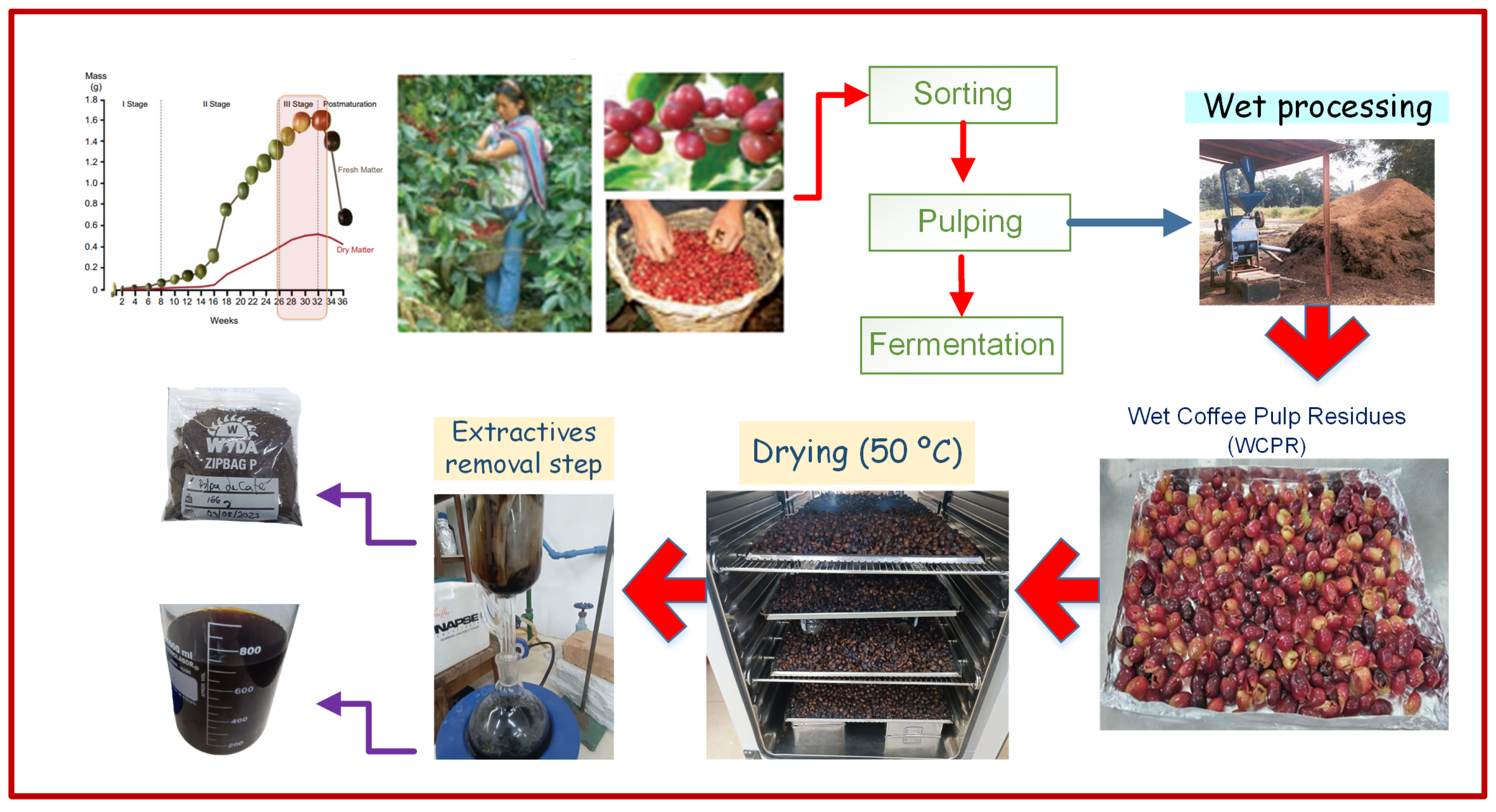 Processes 14 00153 g001