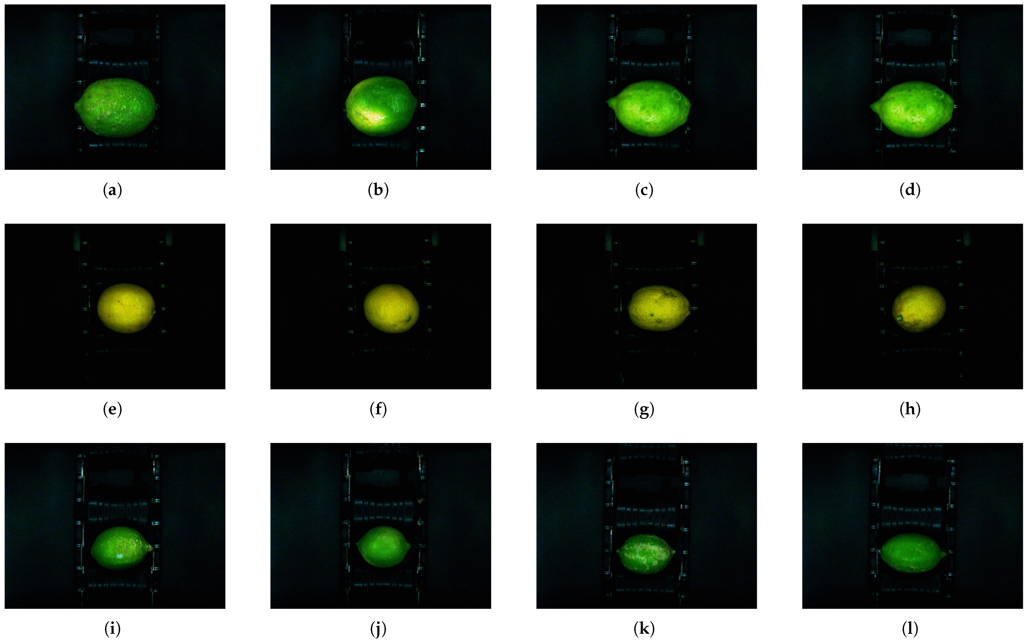 Processes 14 00164 g004 Processes 14 00164 g004