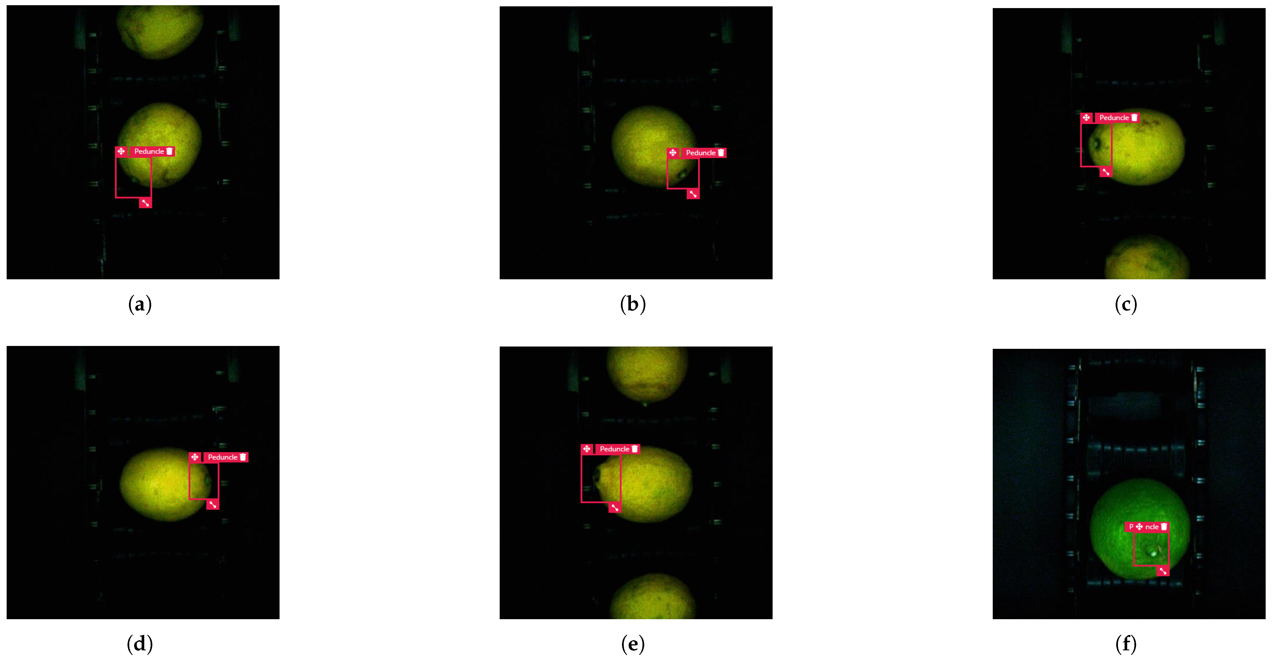 Processes 14 00164 g005 Processes 14 00164 g005