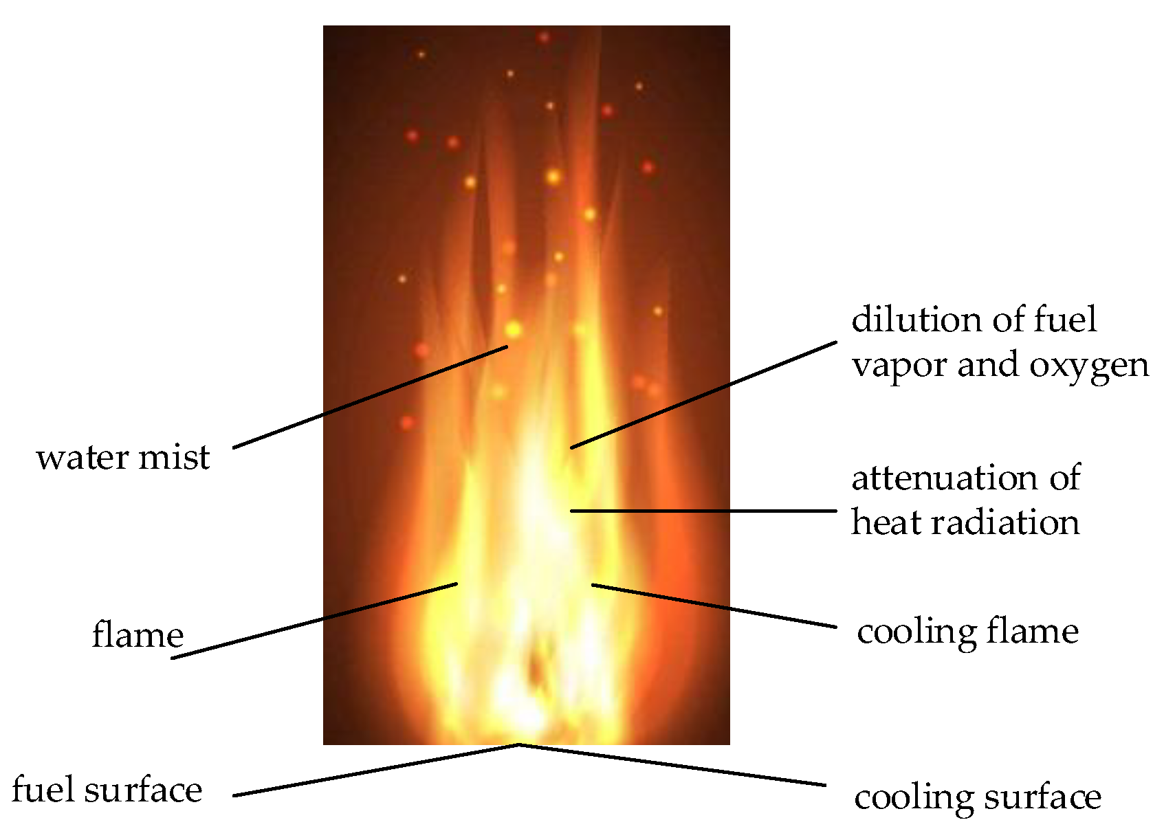 Processes 14 00205 g001