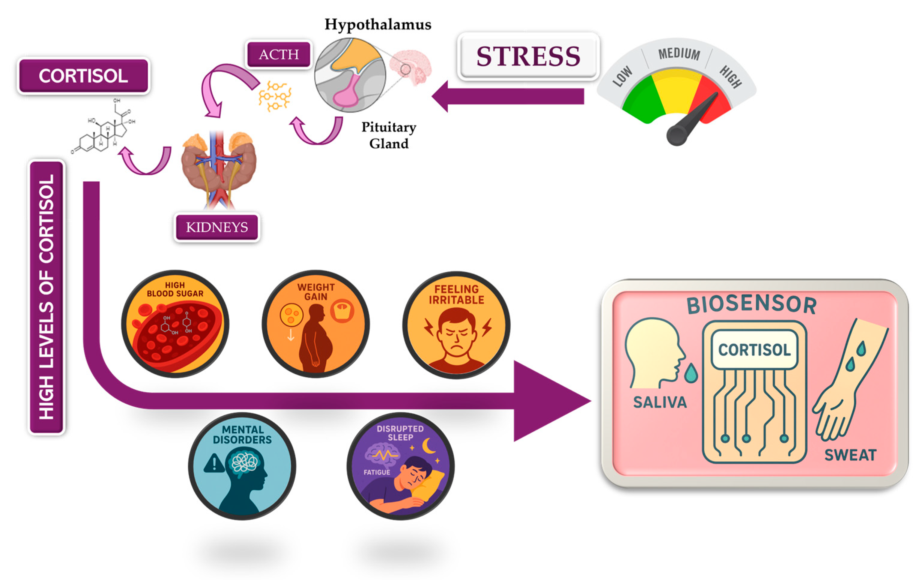 Processes 14 00239 g001 Processes 14 00239 g001