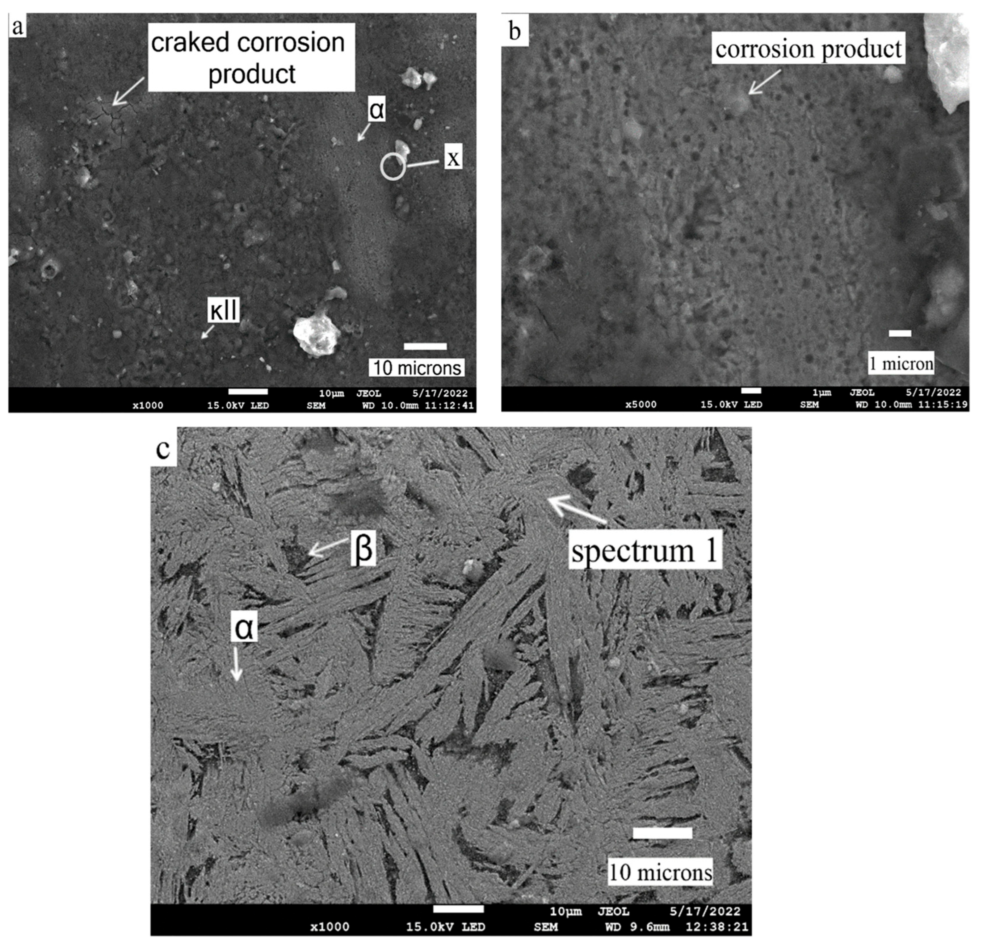 Processes 14 00306 g007 Processes 14 00306 g007