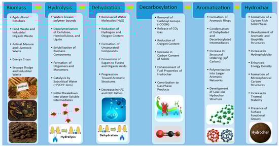 Hydrochar formation via hydrothermal carbonization (HTC): Key stages of the process. The process water itself constitutes a complex mixture: it often includes organic acids (such as acetic, lactic, and formic acids), furans, and phenolic compounds resulting from the partial degradation of carbohydrates and lignin, alongside other constituents such as aldehydes, ketones, small sugar molecules, and additional oxygenated organic compounds. Additionally, it contains inorganic nutrients and salts that have leached from the biomass, including nitrogen compounds (ammonium, amines) and phosphorus, which vary with the feedstock composition [23]. Due to this intricate composition, HTC process water is generally acidic and exhibits a high chemical oxygen demand (COD). If not treated prior to discharge, it may present environmental hazards; in fact, bioassays have indicated ecotoxicity linked to the presence of various organic substances within the process water [19]. The generation of this contaminated process water is frequently cited as a primary environmental concern associated with hydrothermal carbonization, as it necessitates further waste treatment and complicates efforts to achieve sustainable hydrochar production. Consequently, research endeavors are actively focused on the treatment and valorization of HTC process water.