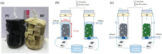Macro-morphology of the biocarriers (a) and schematic diagrams of the biofilter under continuous-flow (b) and intermittent-flow (c) configurations.