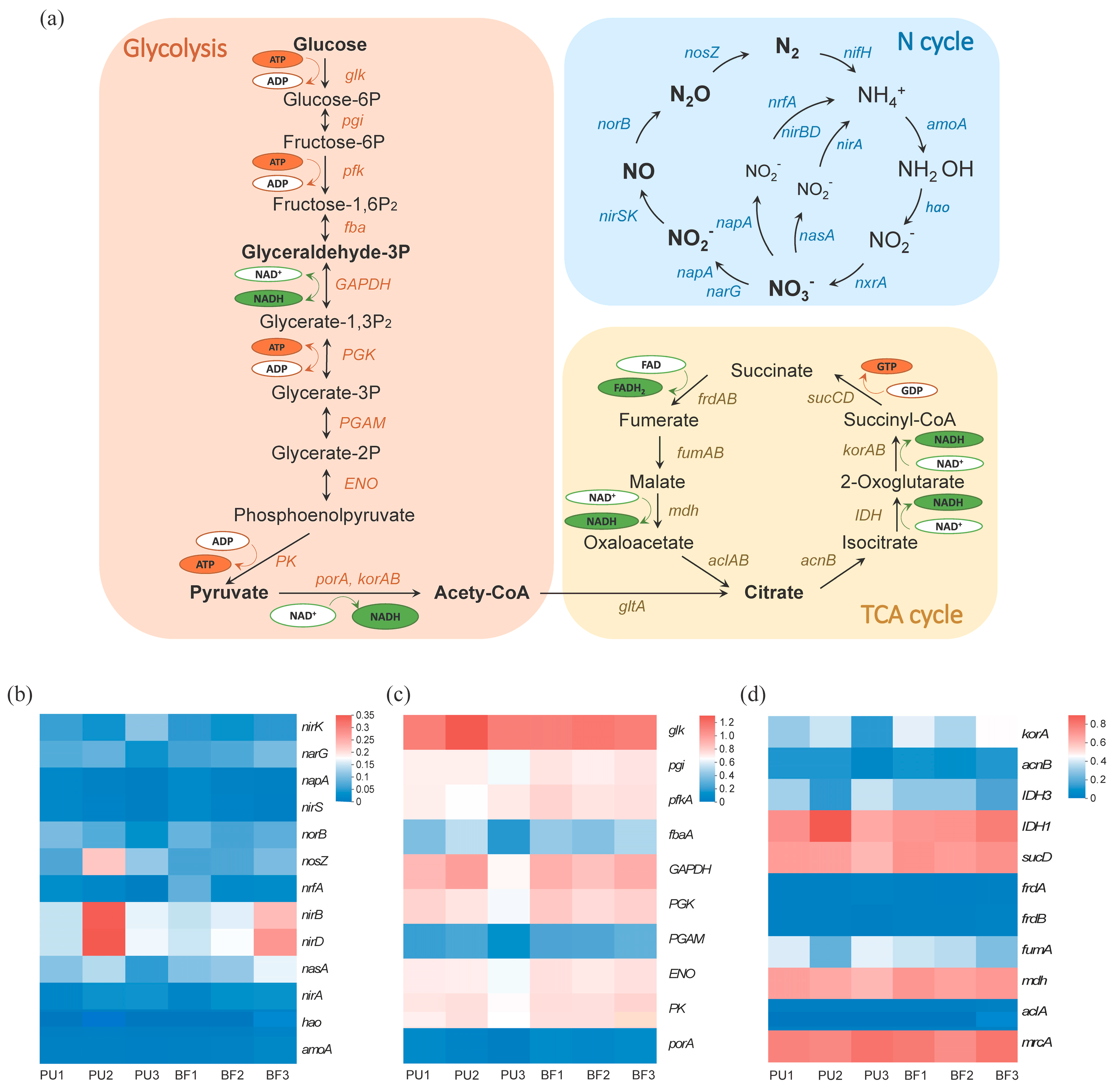 Processes 14 00349 g008