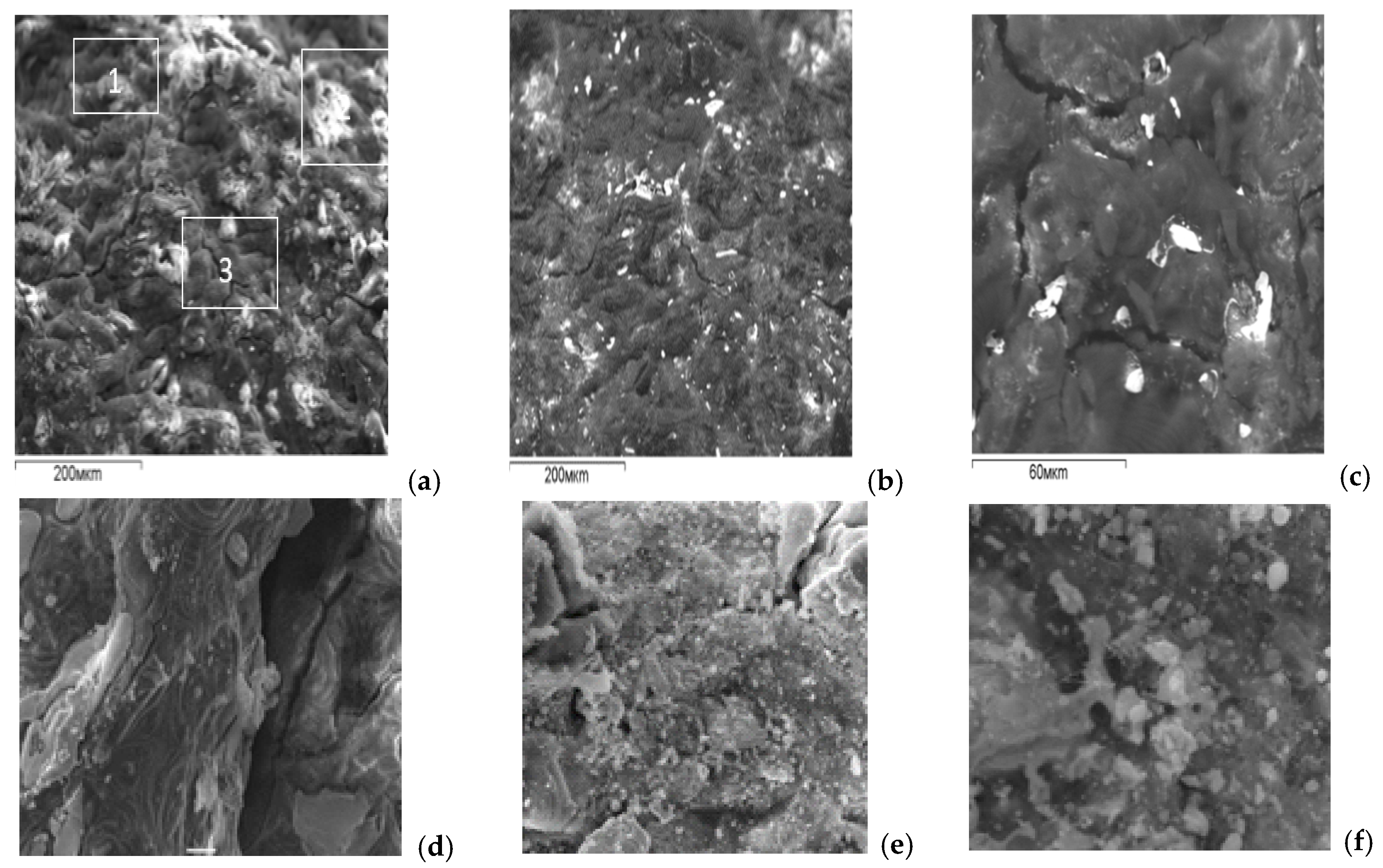 Processes 14 00448 g001 Processes 14 00448 g001