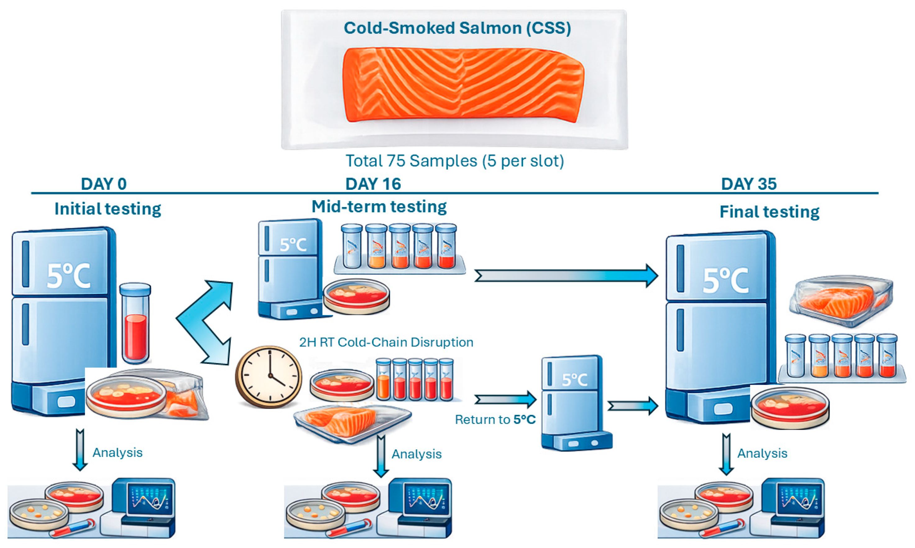 Processes 14 00452 g001 Processes 14 00452 g001