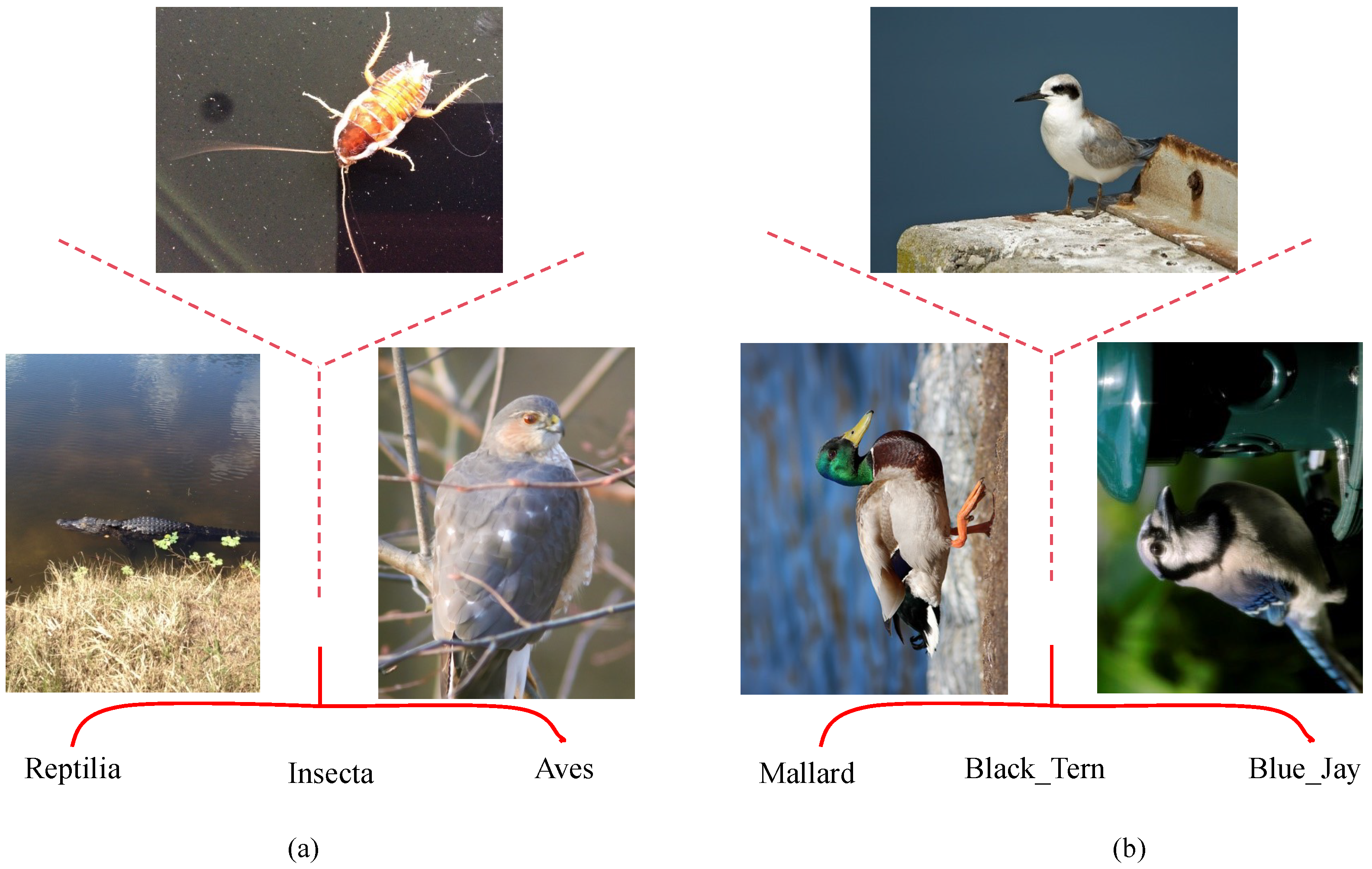 Processes 14 00492 g001