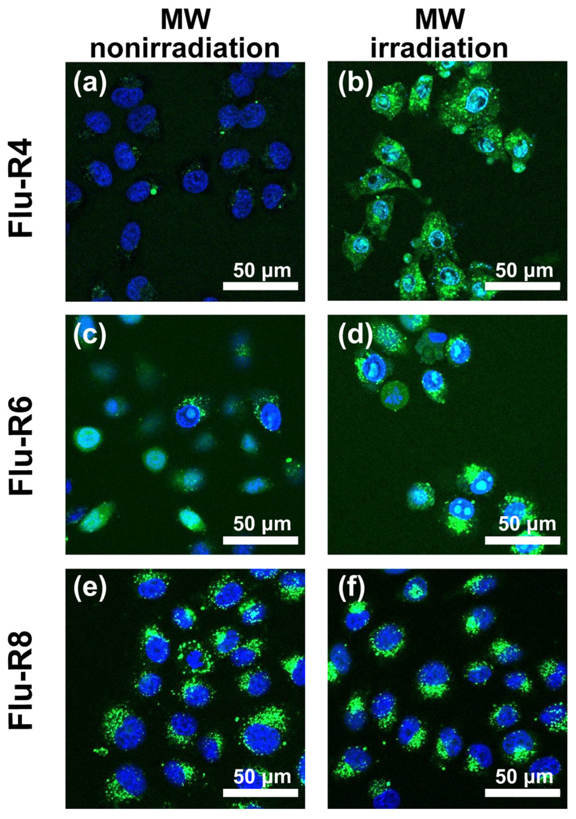 Processes 14 00497 g002 Processes 14 00497 g002