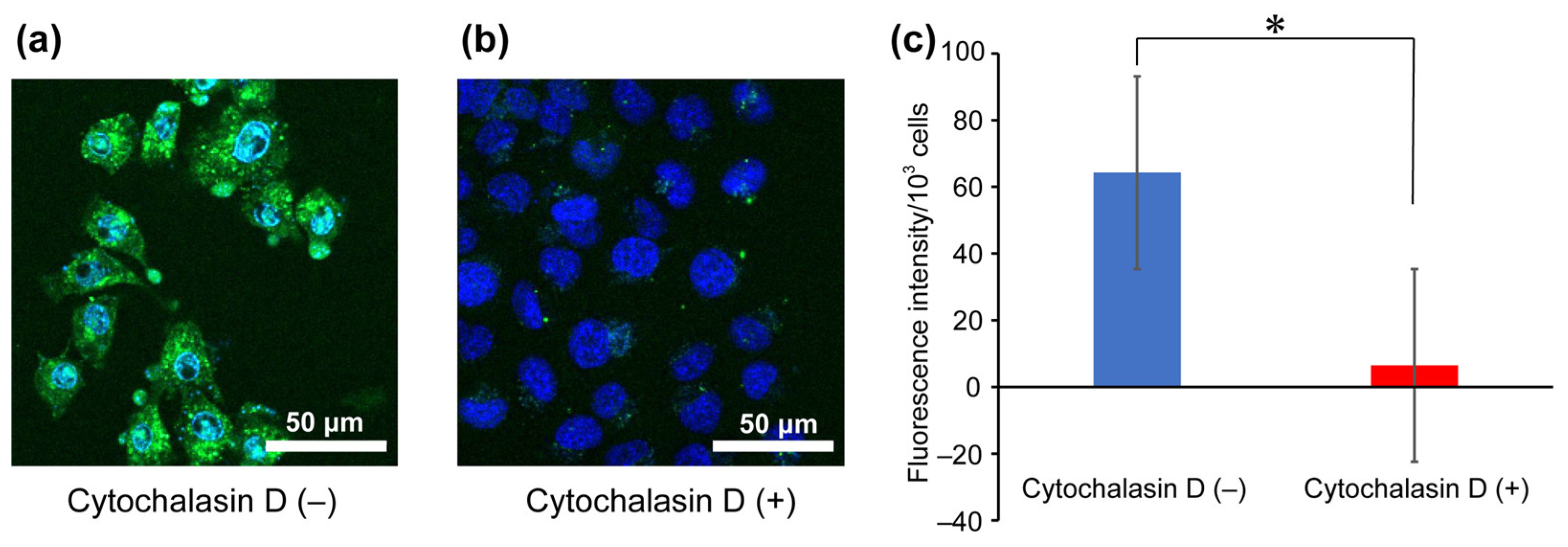 Processes 14 00497 g004 Processes 14 00497 g004