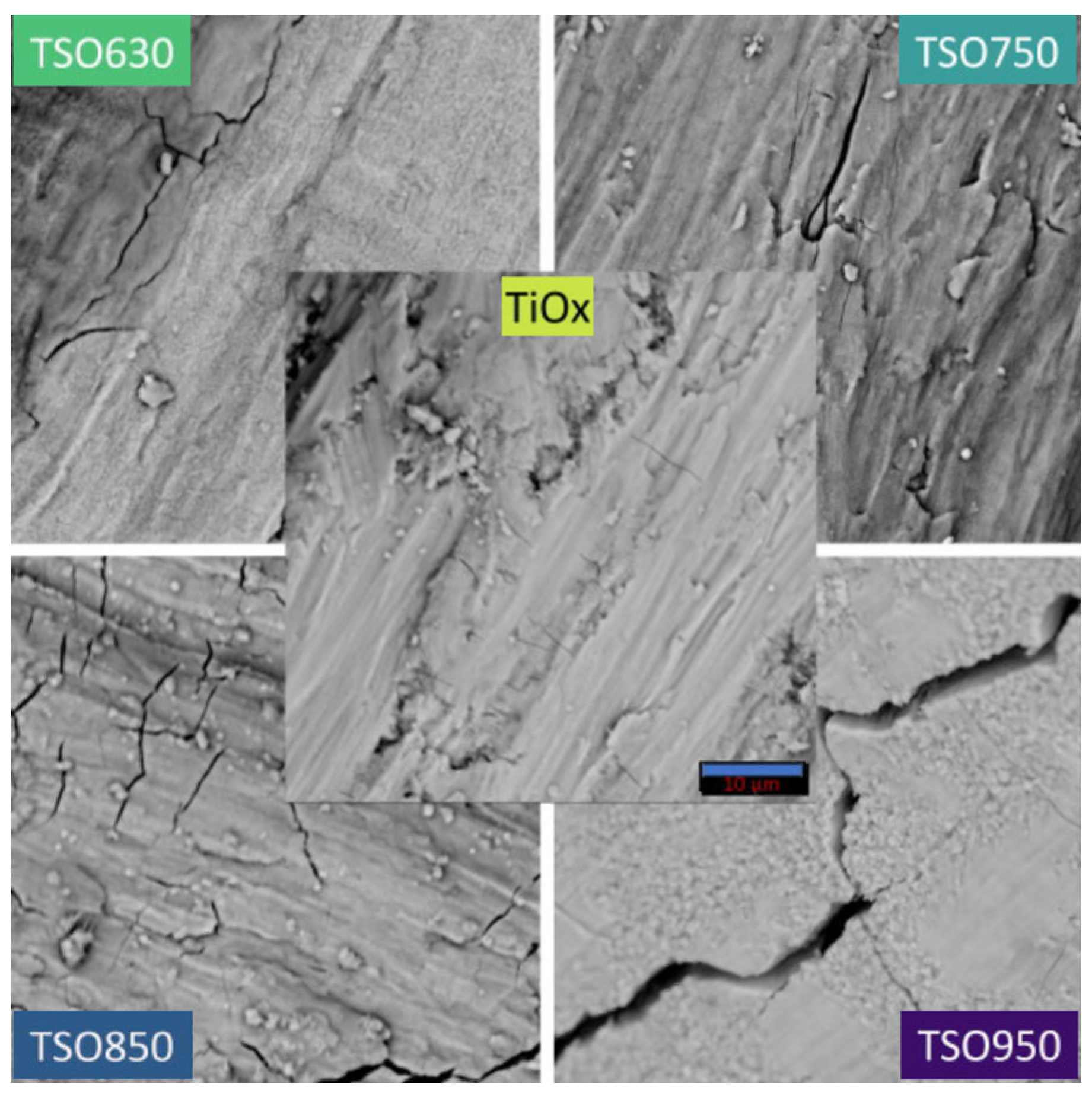 Processes 14 00518 g001