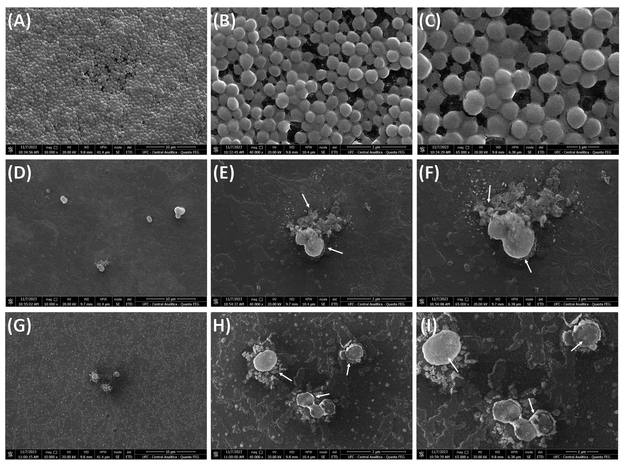 Processes 14 00537 g005