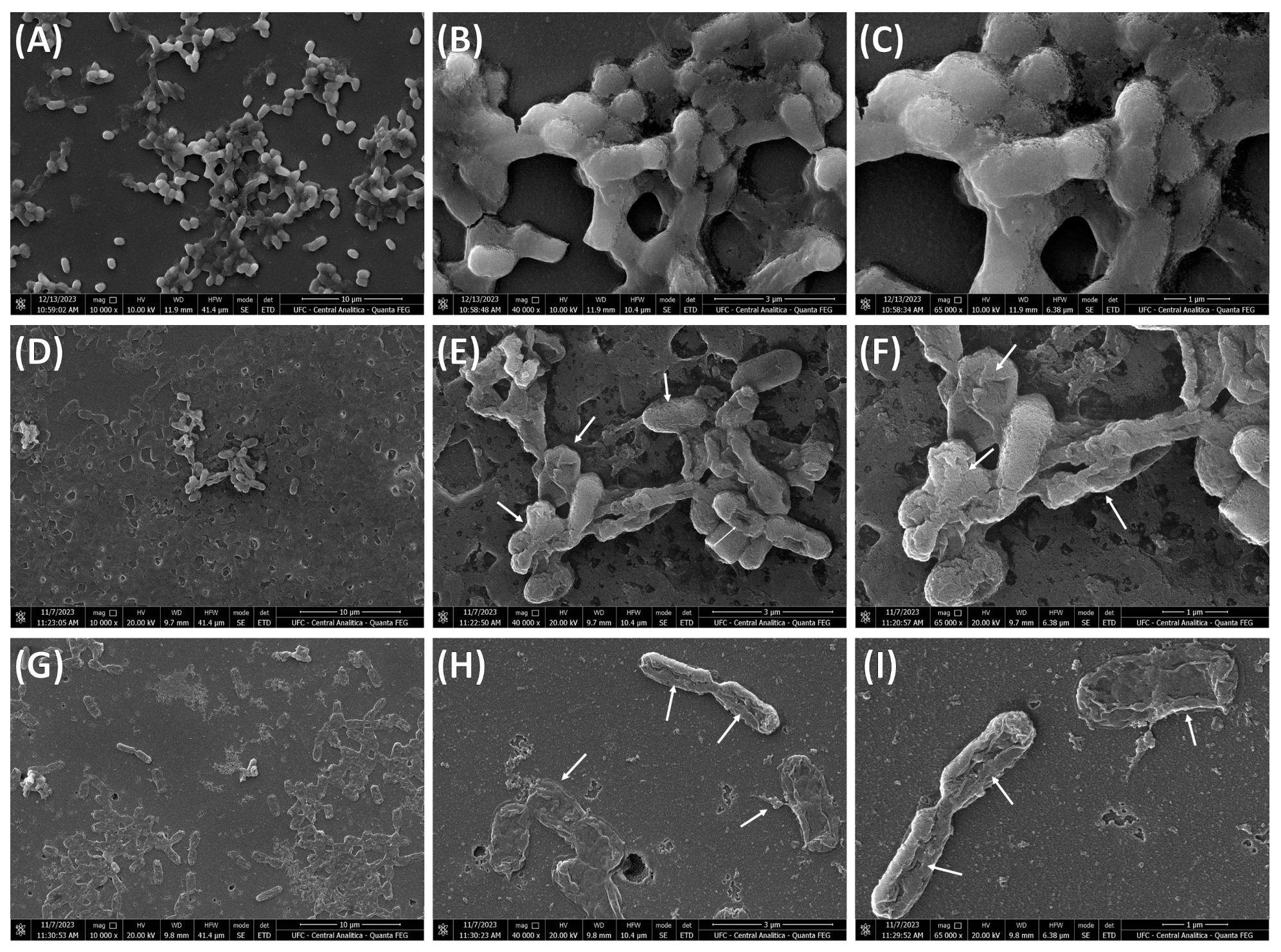 Processes 14 00537 g006