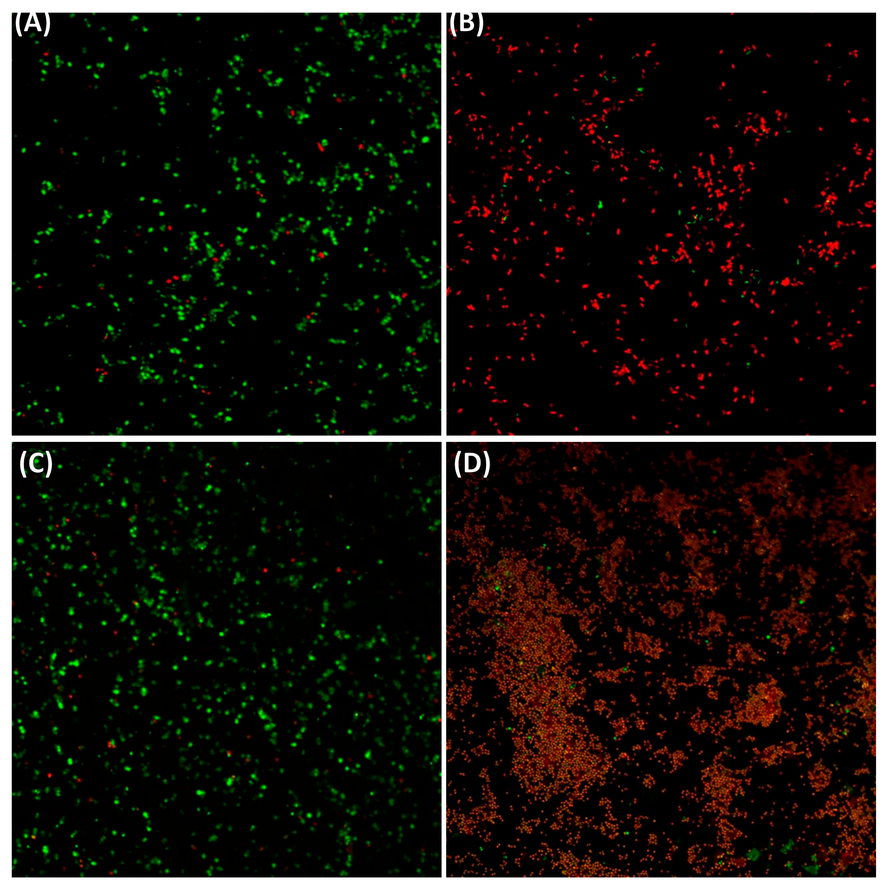 Processes 14 00537 g007