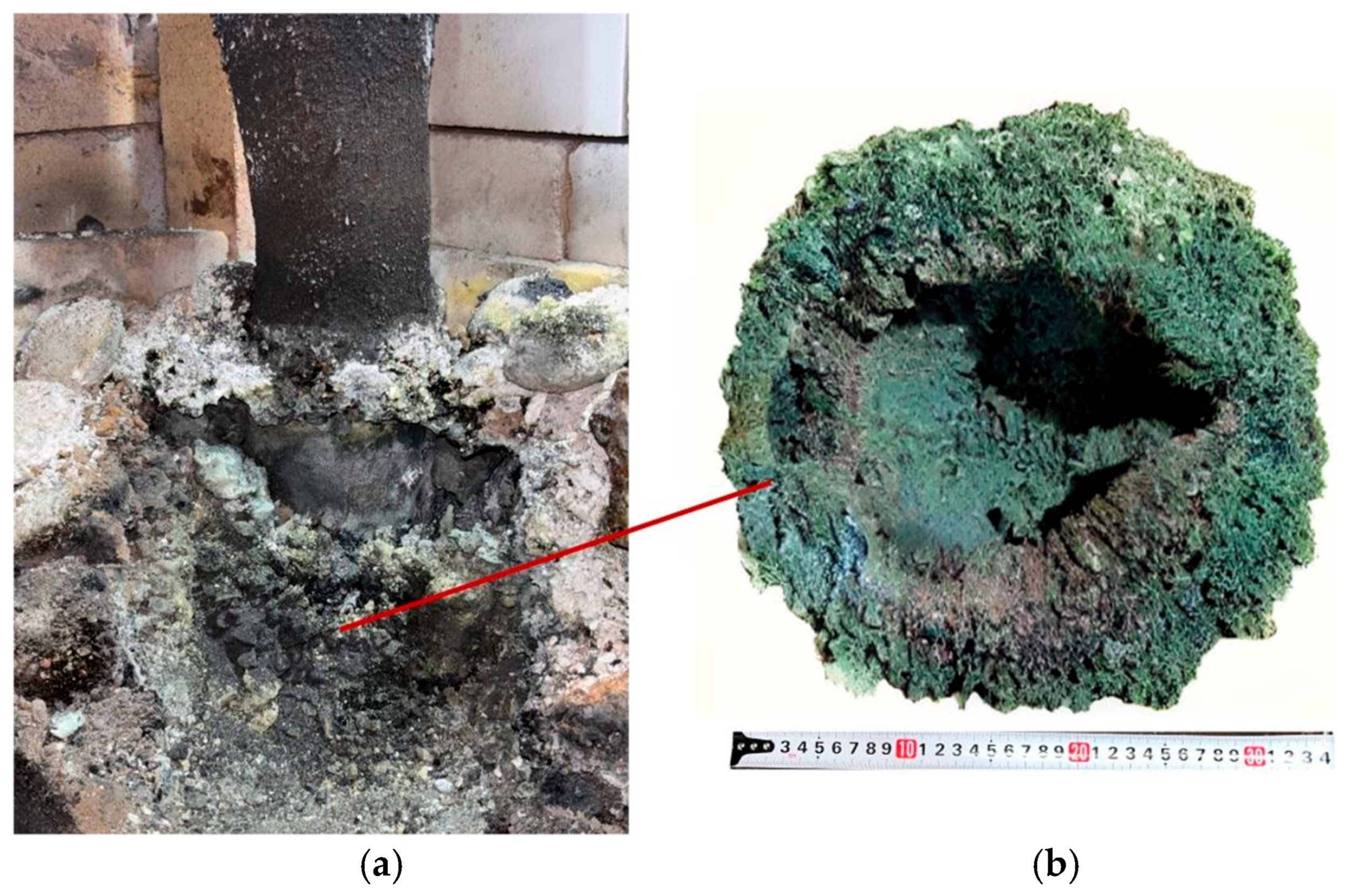 Processes 14 00539 g011